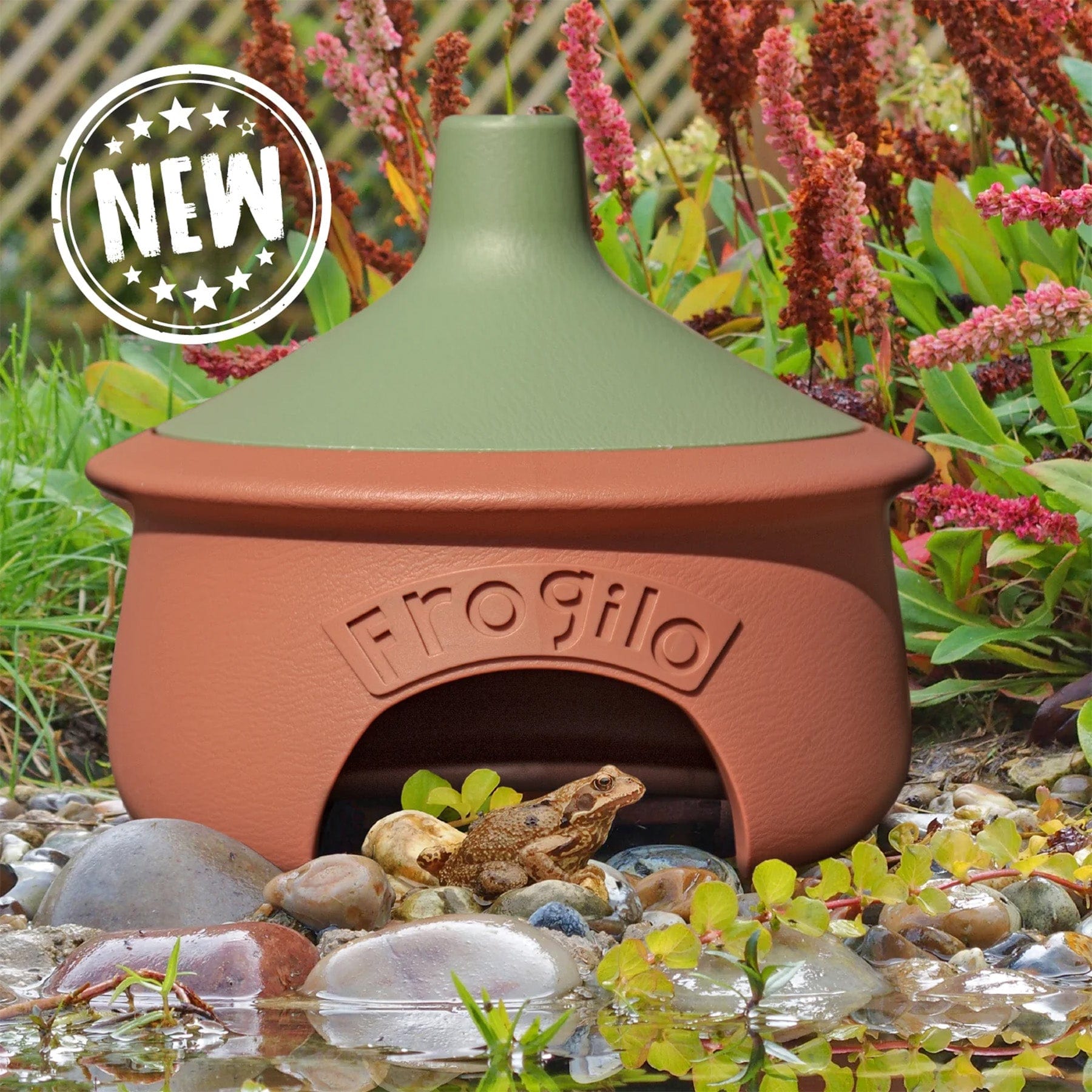 Frogilo frog & toad home