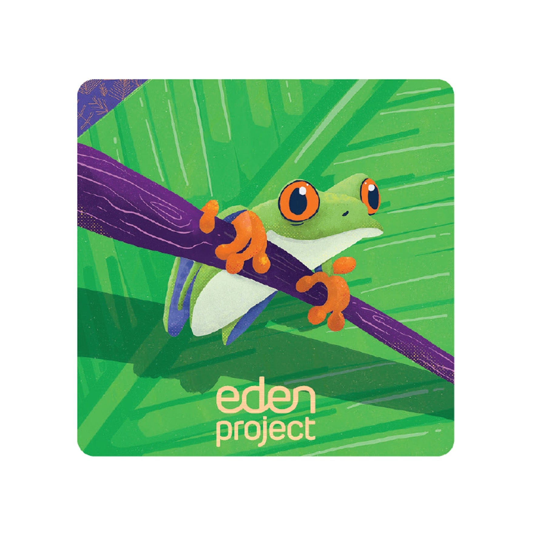 Frog square bamboo magnet