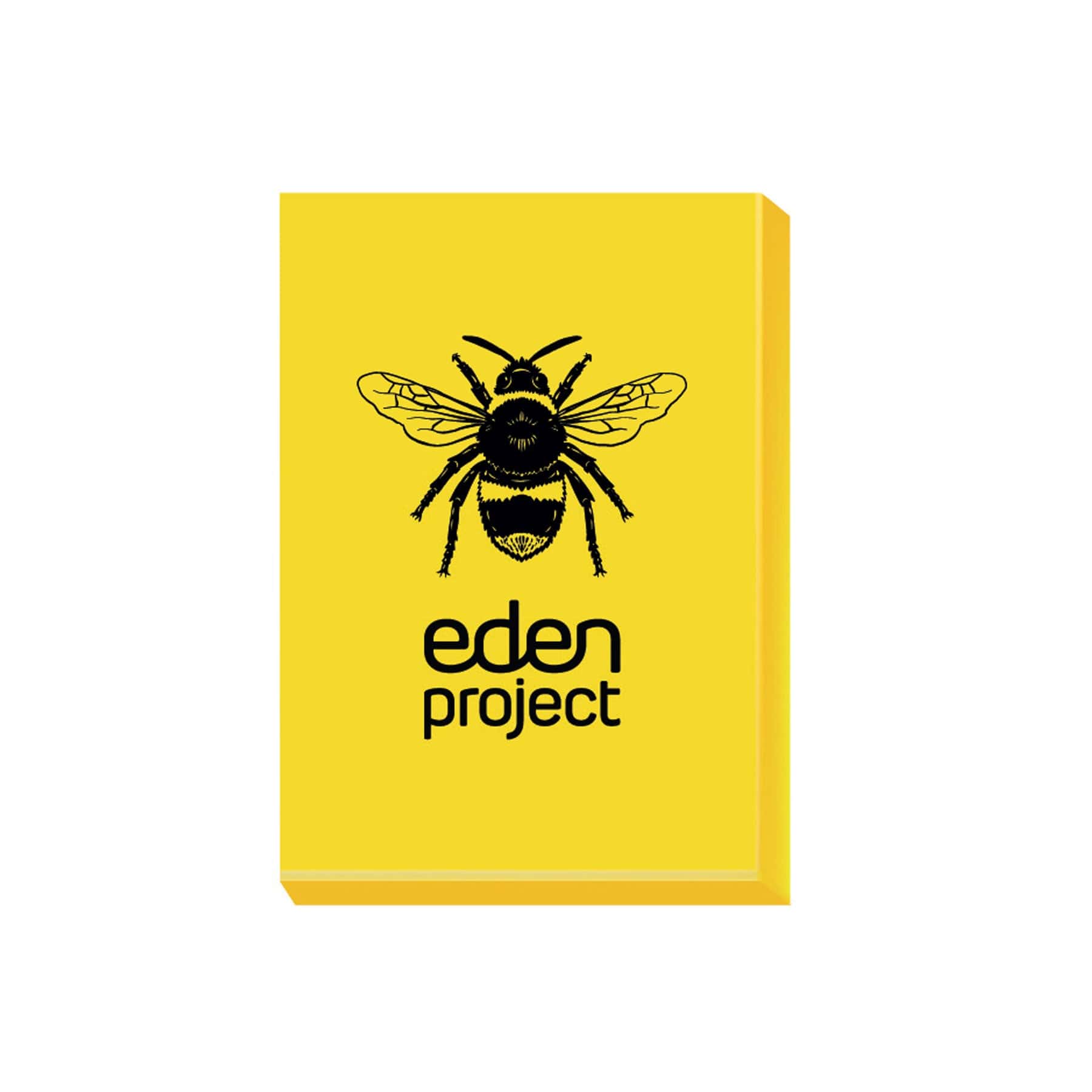 Bee eraser