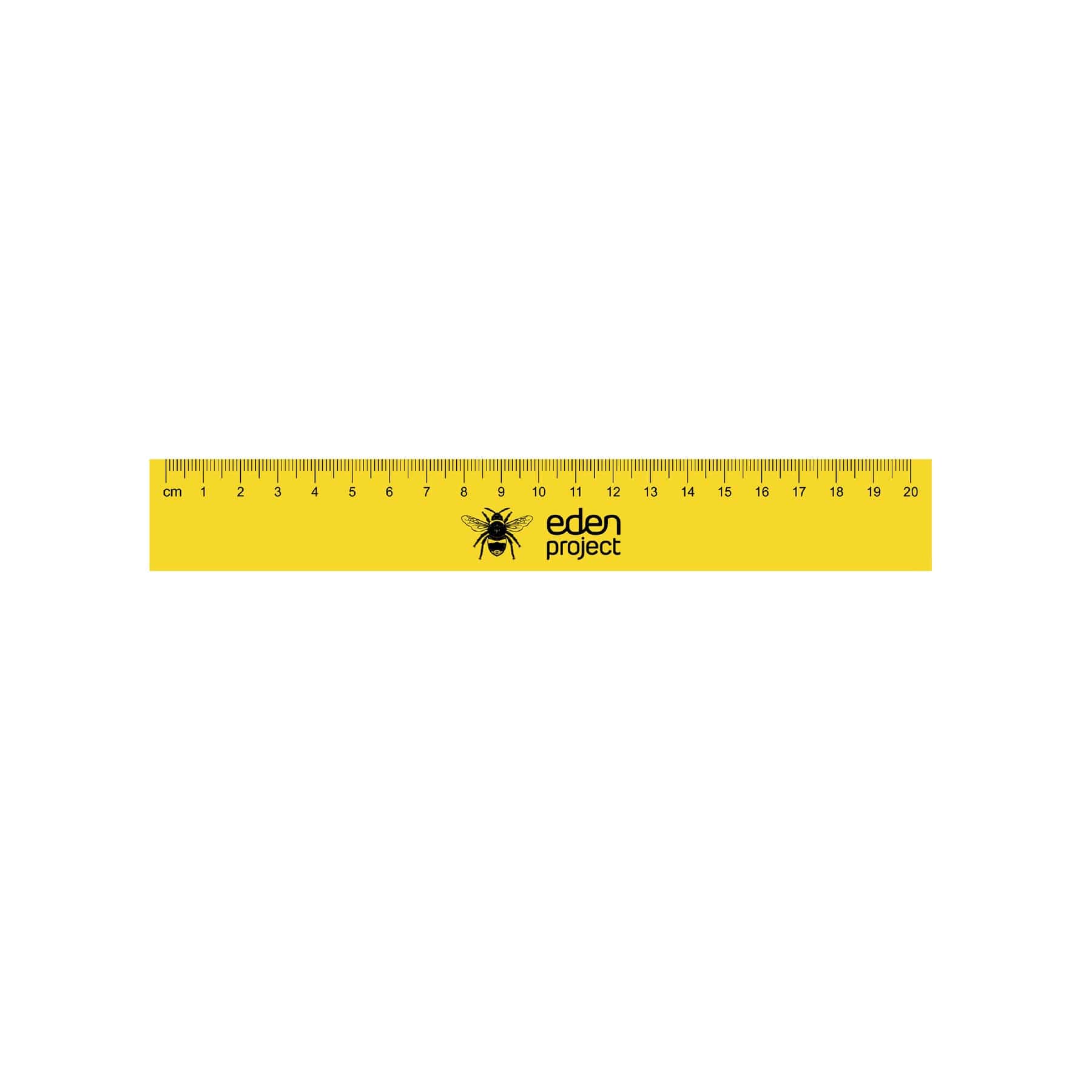 Bee bambuler ruler