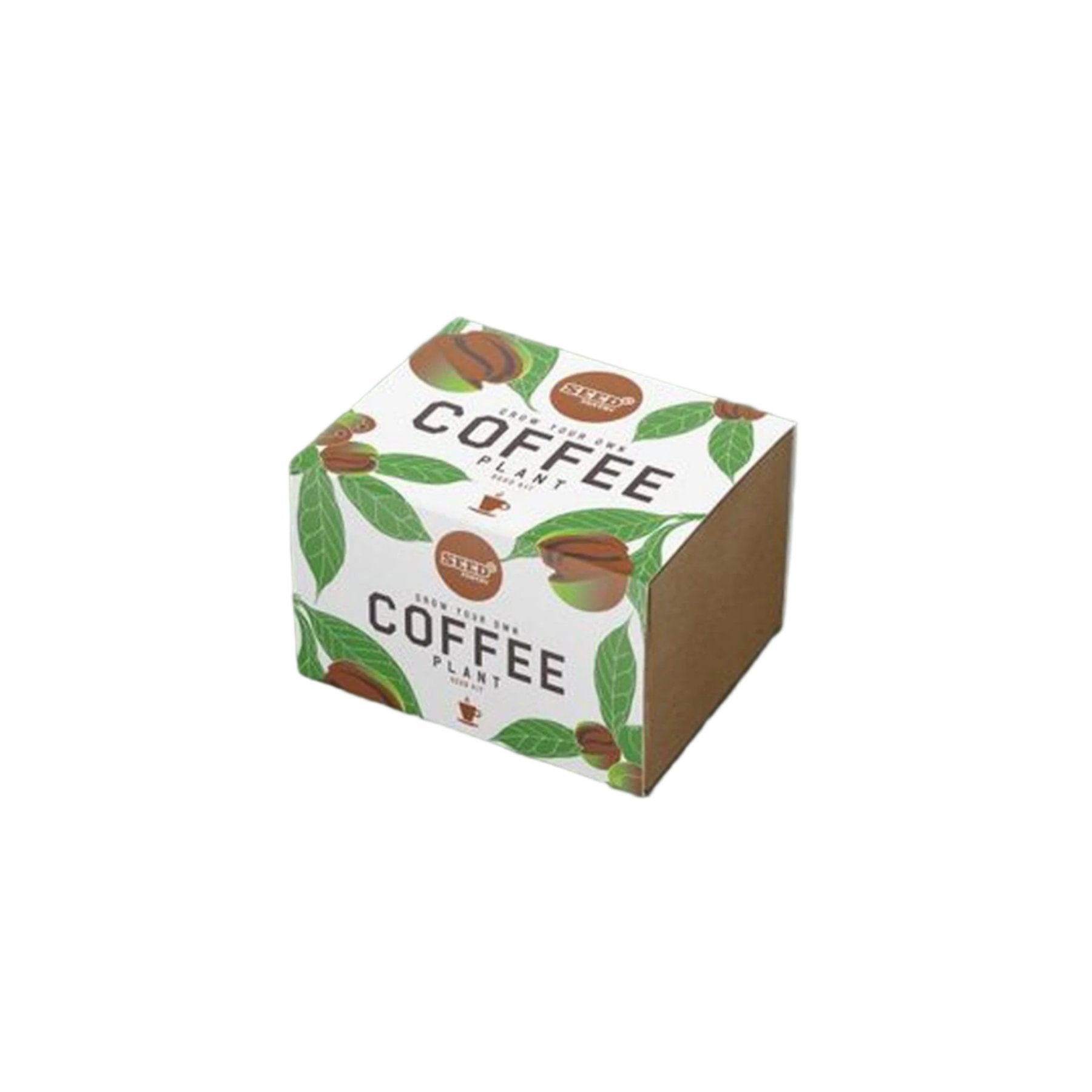 buy coffee plant seeds Coffee plant seed kit