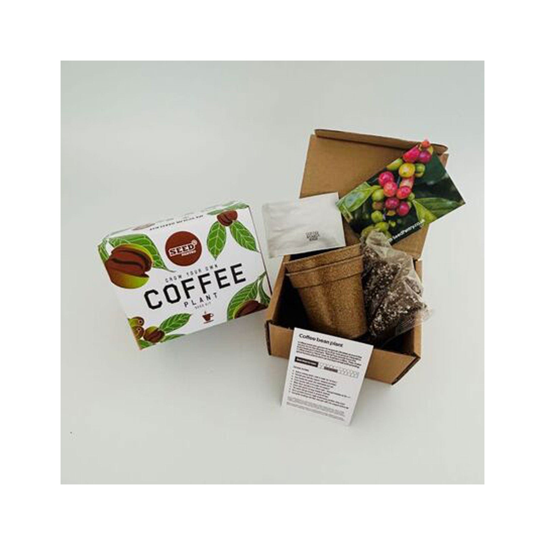 Coffee plant seed kit