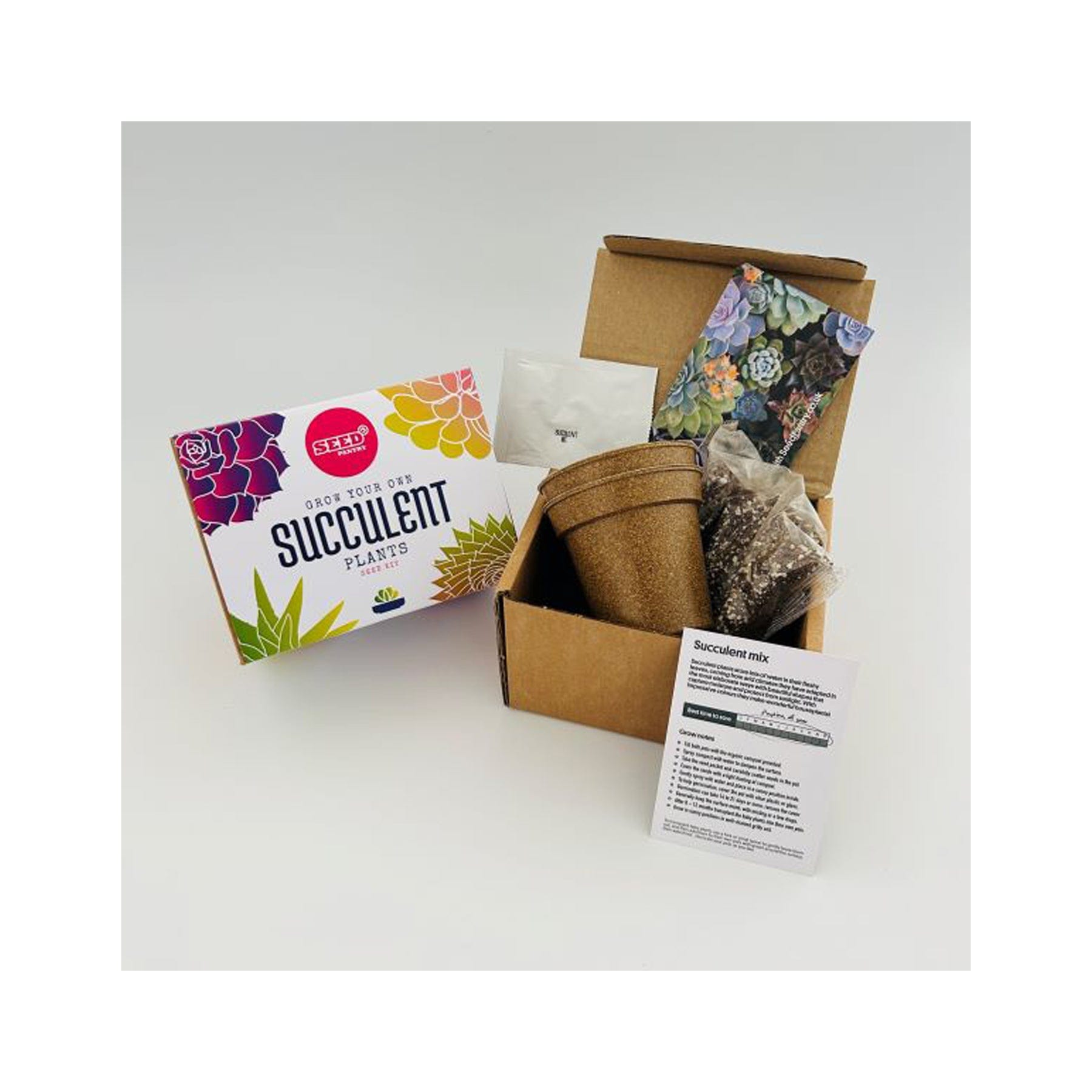 Succulent mix seed kit