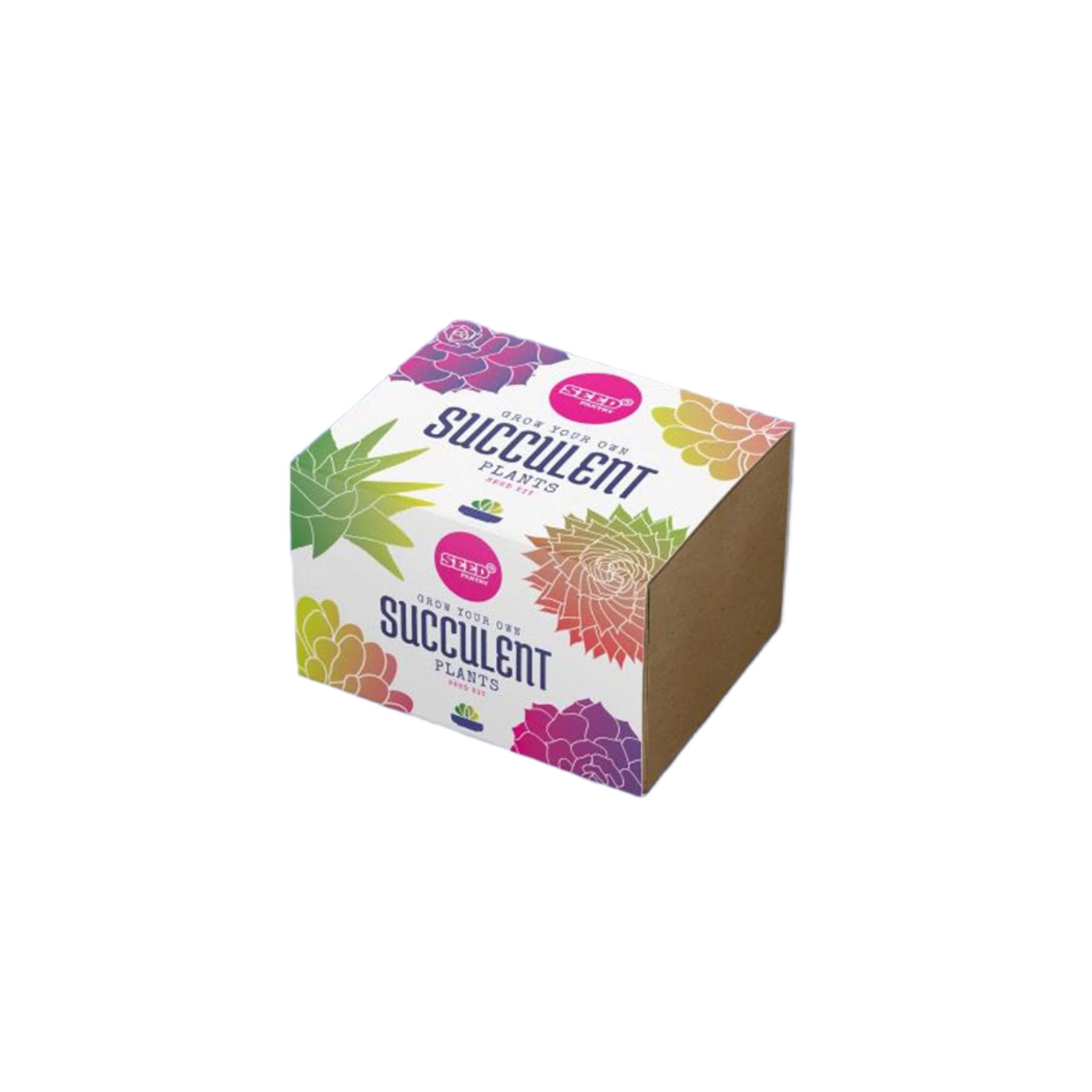 Succulent mix seed kit