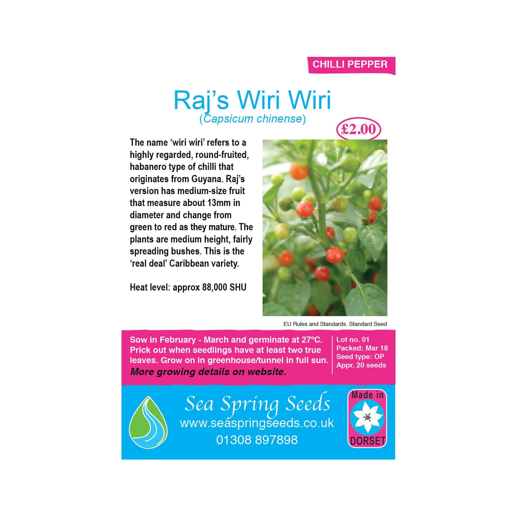 Raj's wiri wiri chilli seeds