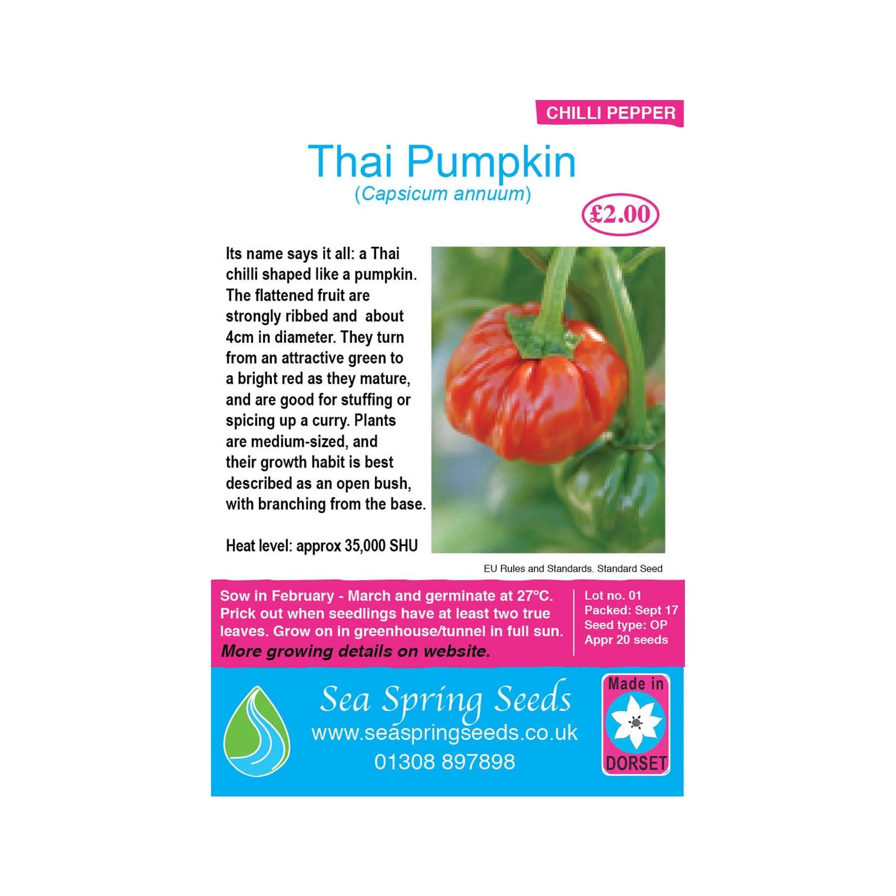 Thai pumpkin chilli seeds