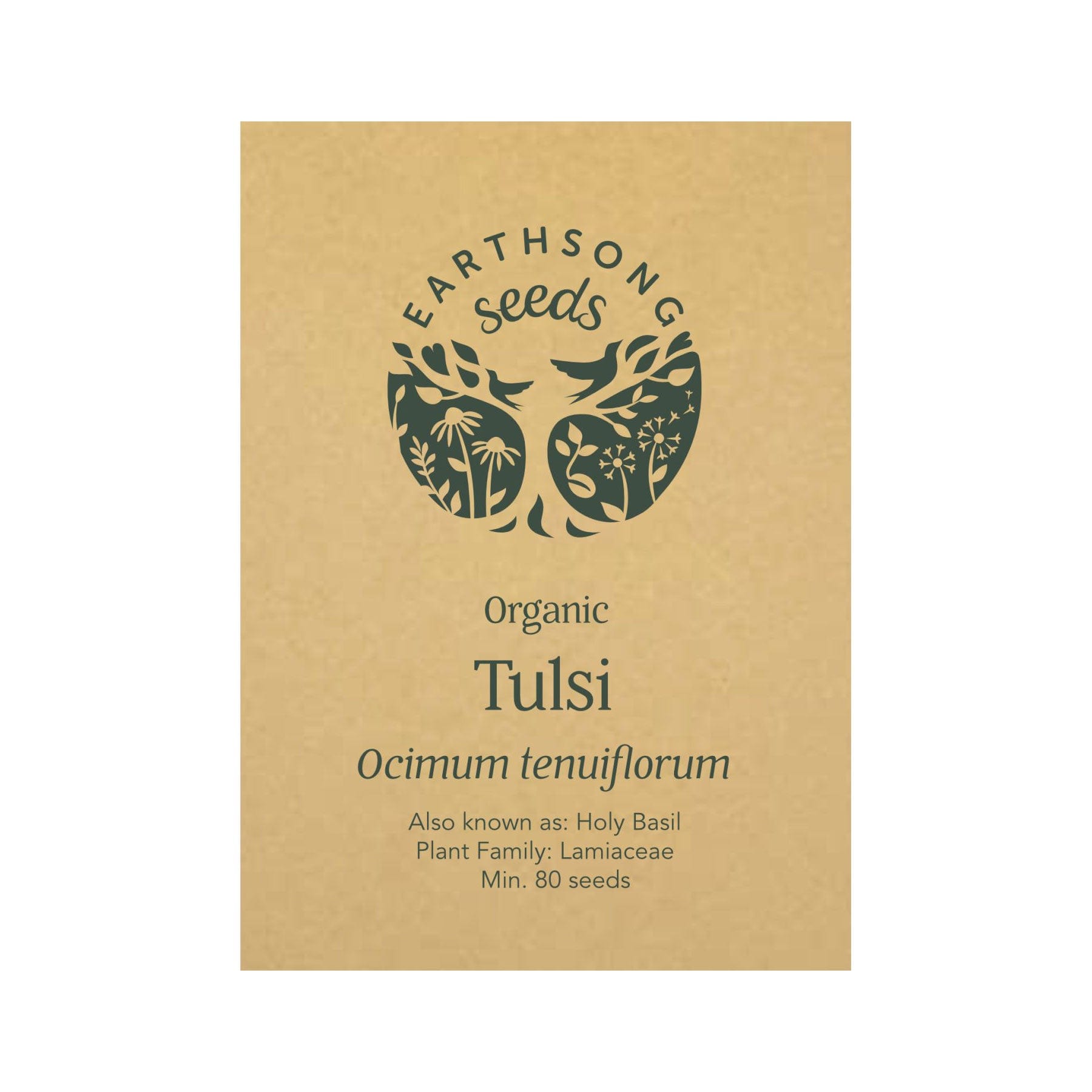 tulsi plant seeds for sale Tulsi seed pack