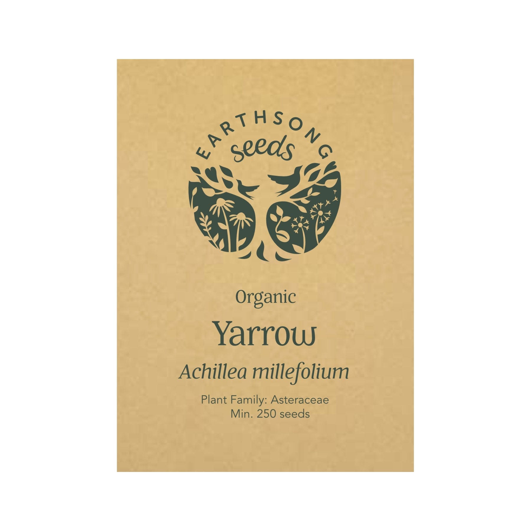 Yarrow seed pack