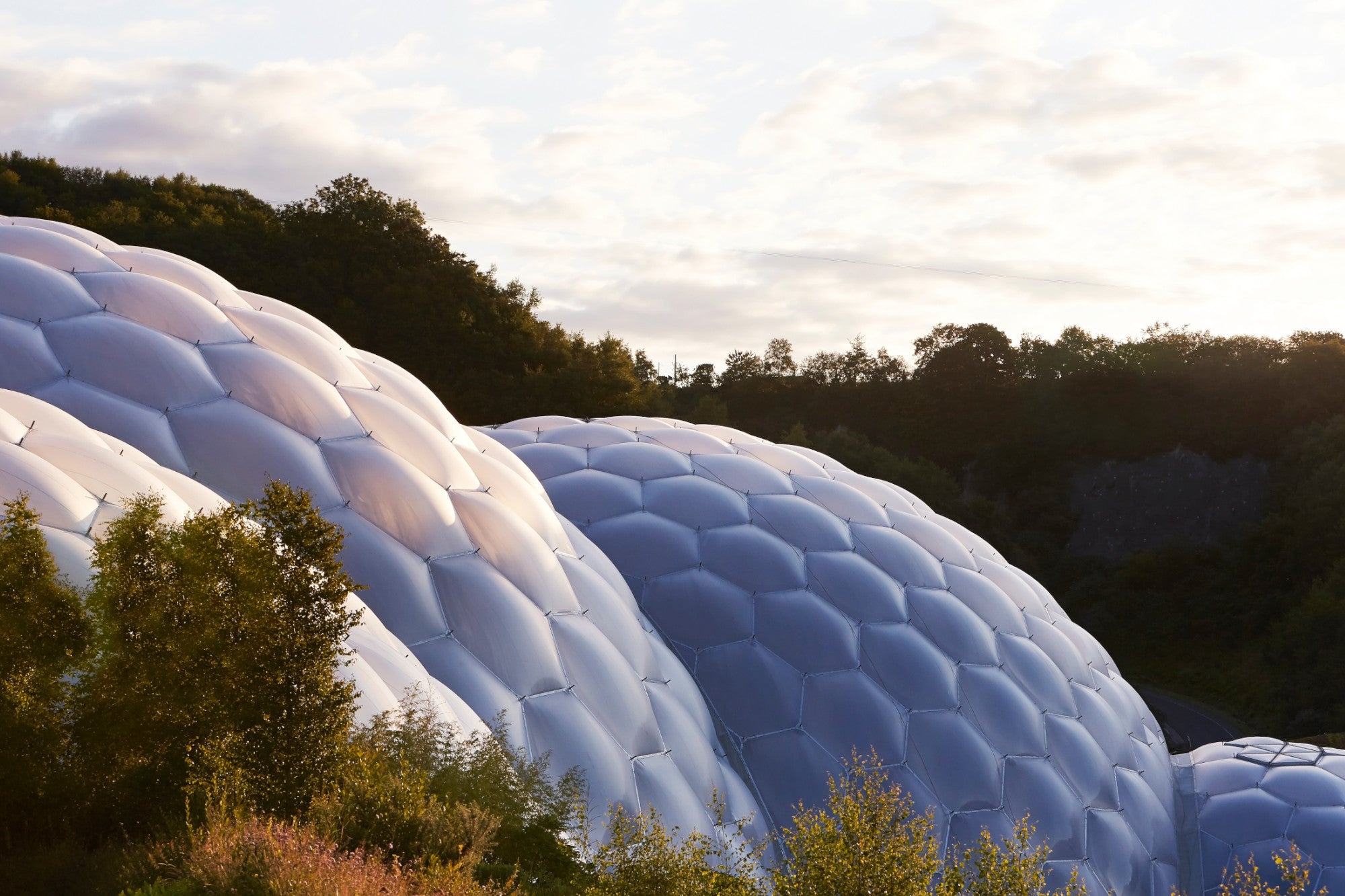 Become an Eden Project Member and Save 10% in our Online Shop