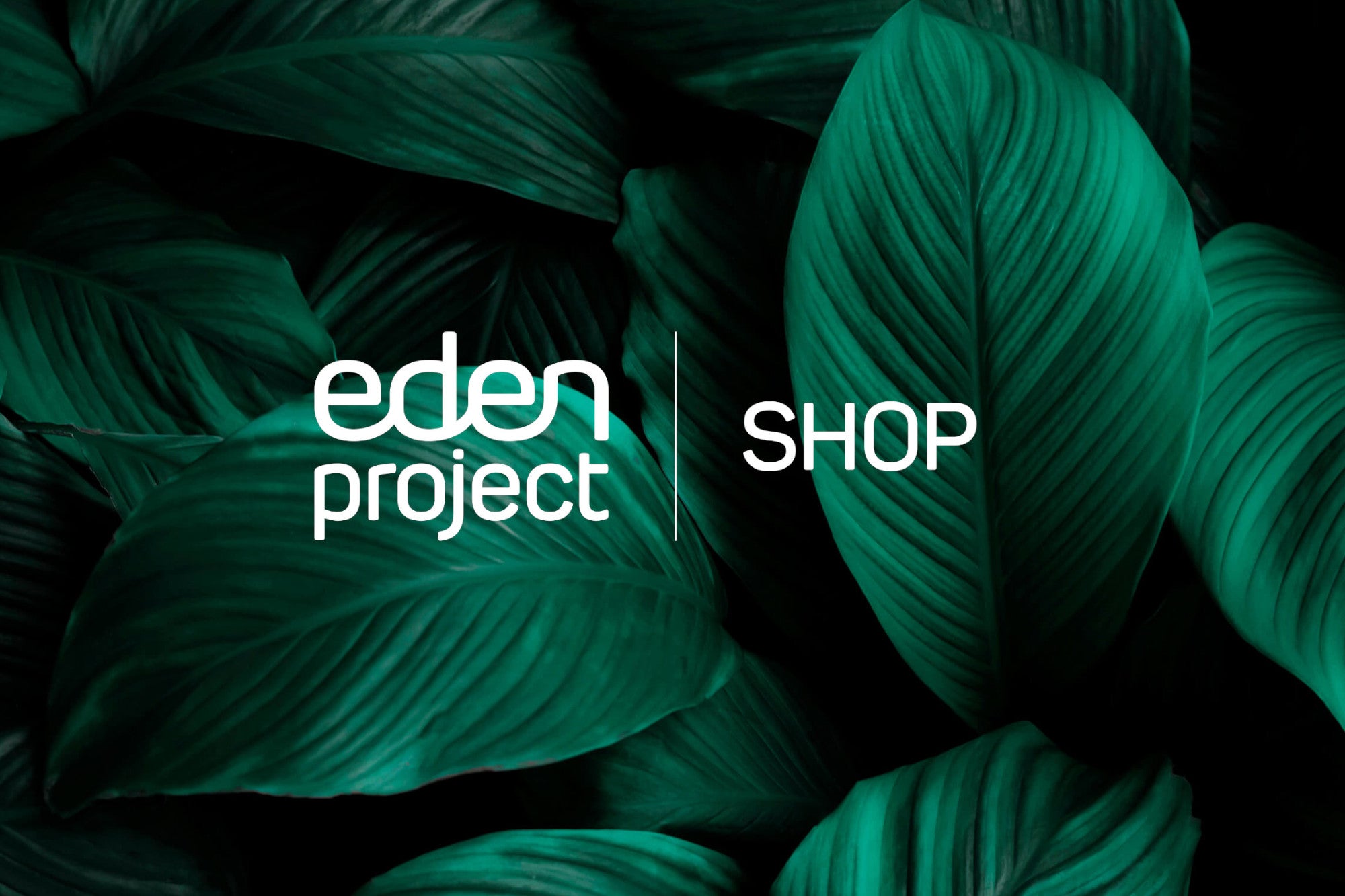 Explore the reimagined Eden Project Shop