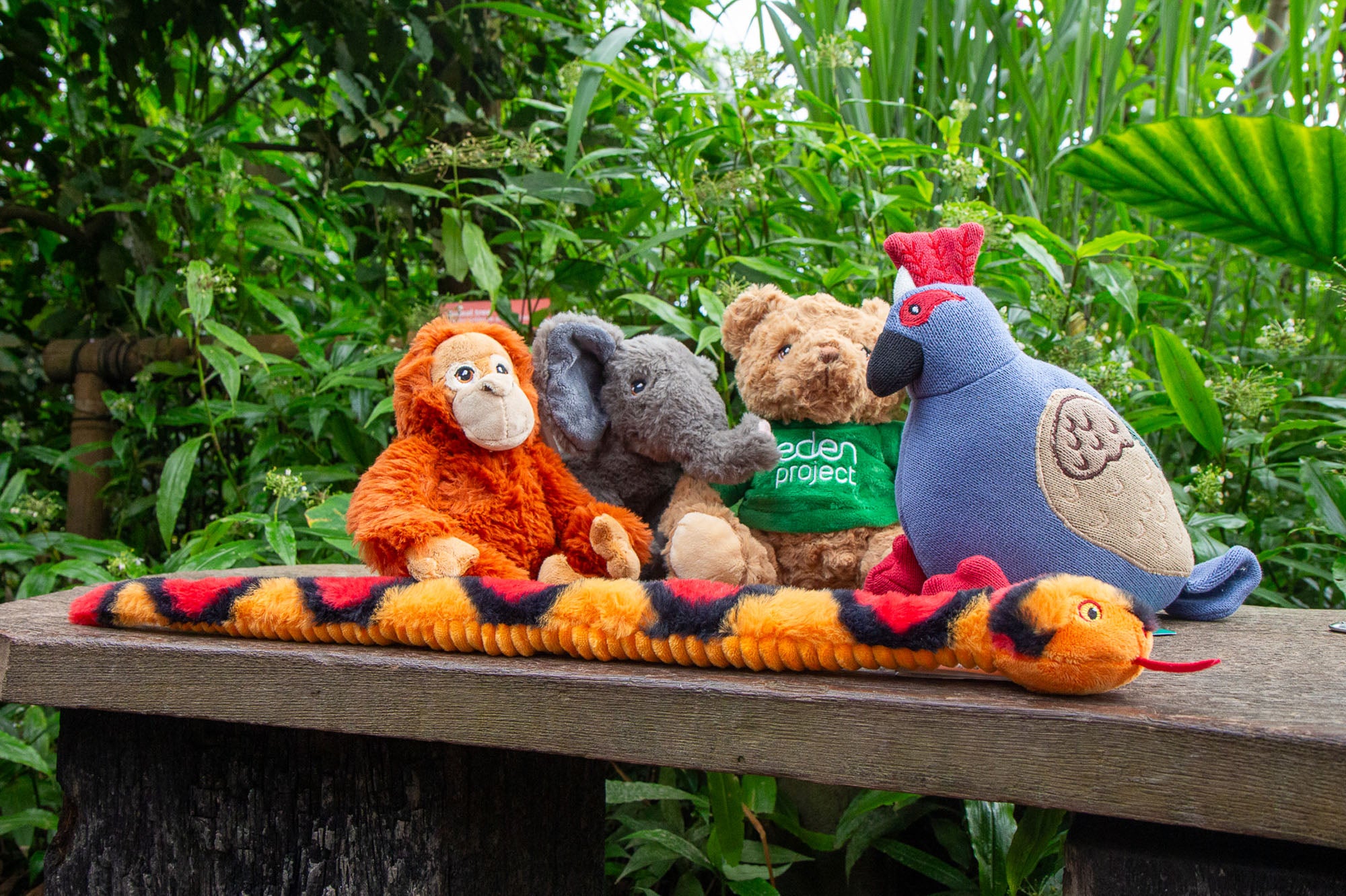 A display of Keel Toys in the Rainforest Biome at the Eden Project.