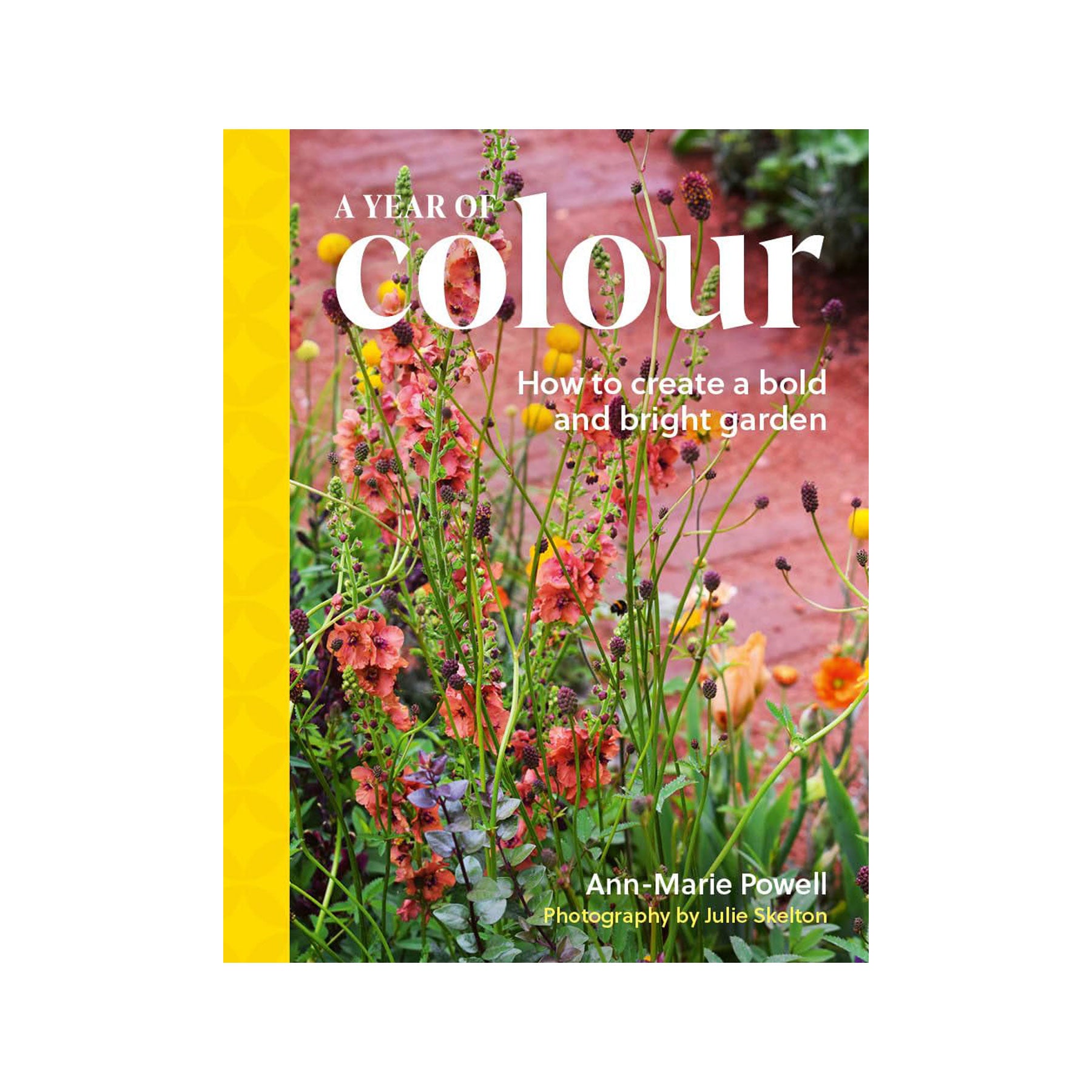 A year of colour: how to create a bold and bright garden