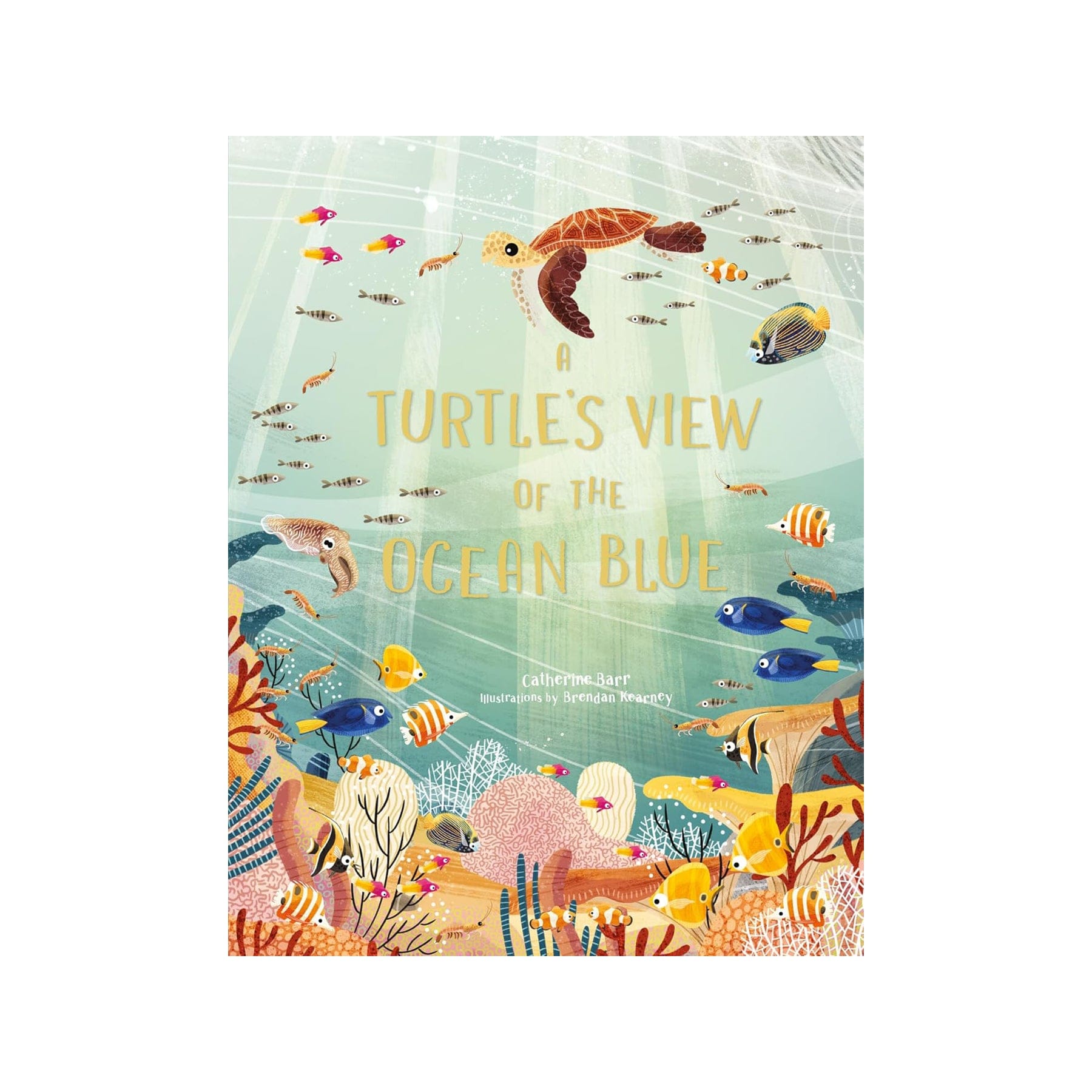 A turtle's view of the ocean blue