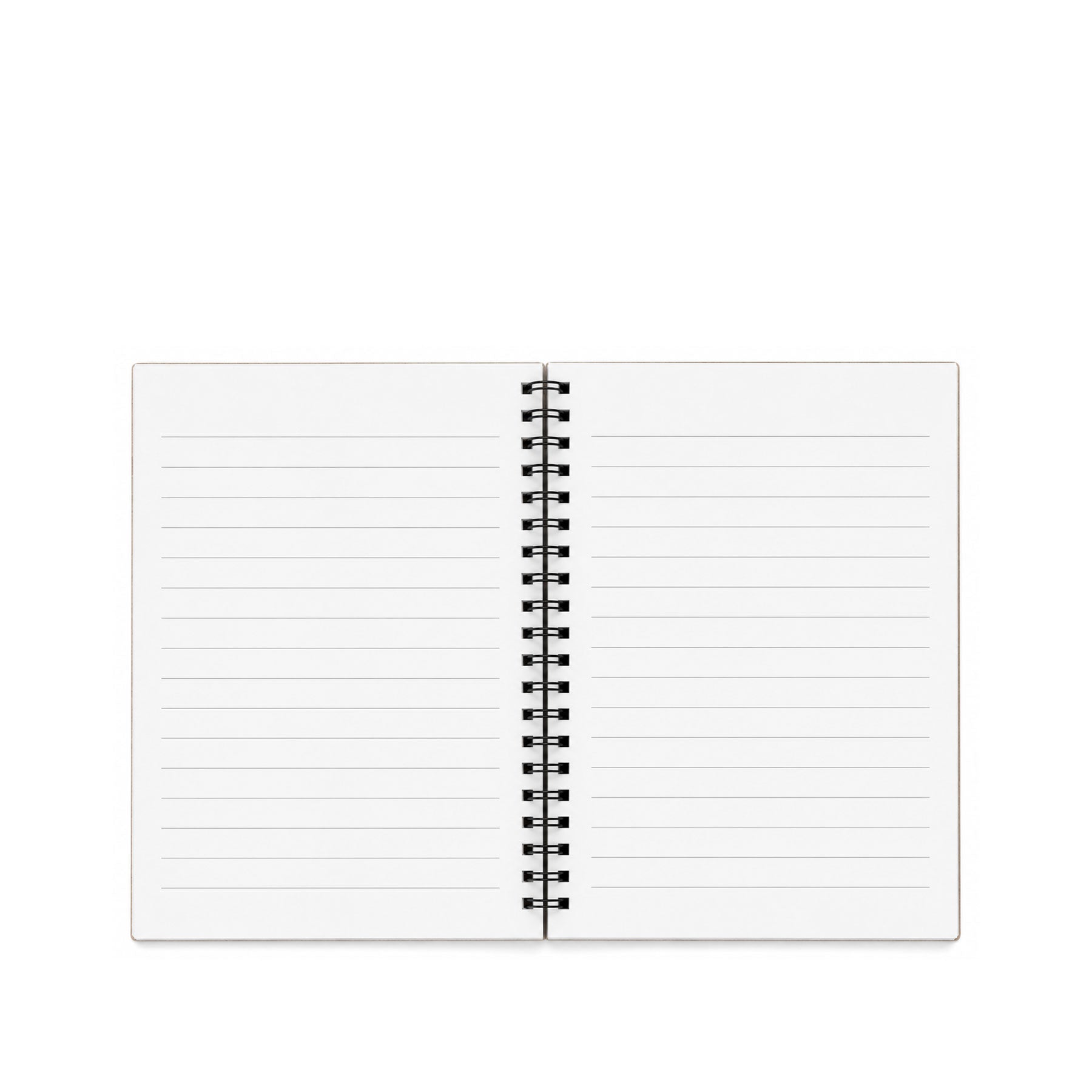 A5 CCTV dinosaur notebook