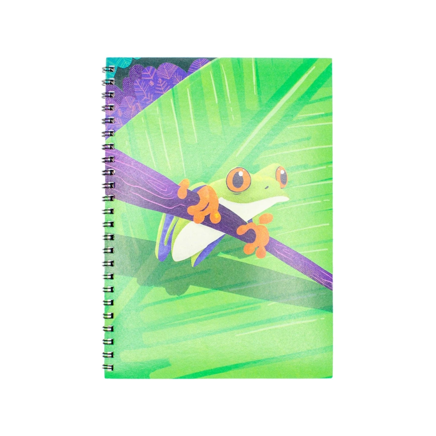 A5 frog notebook