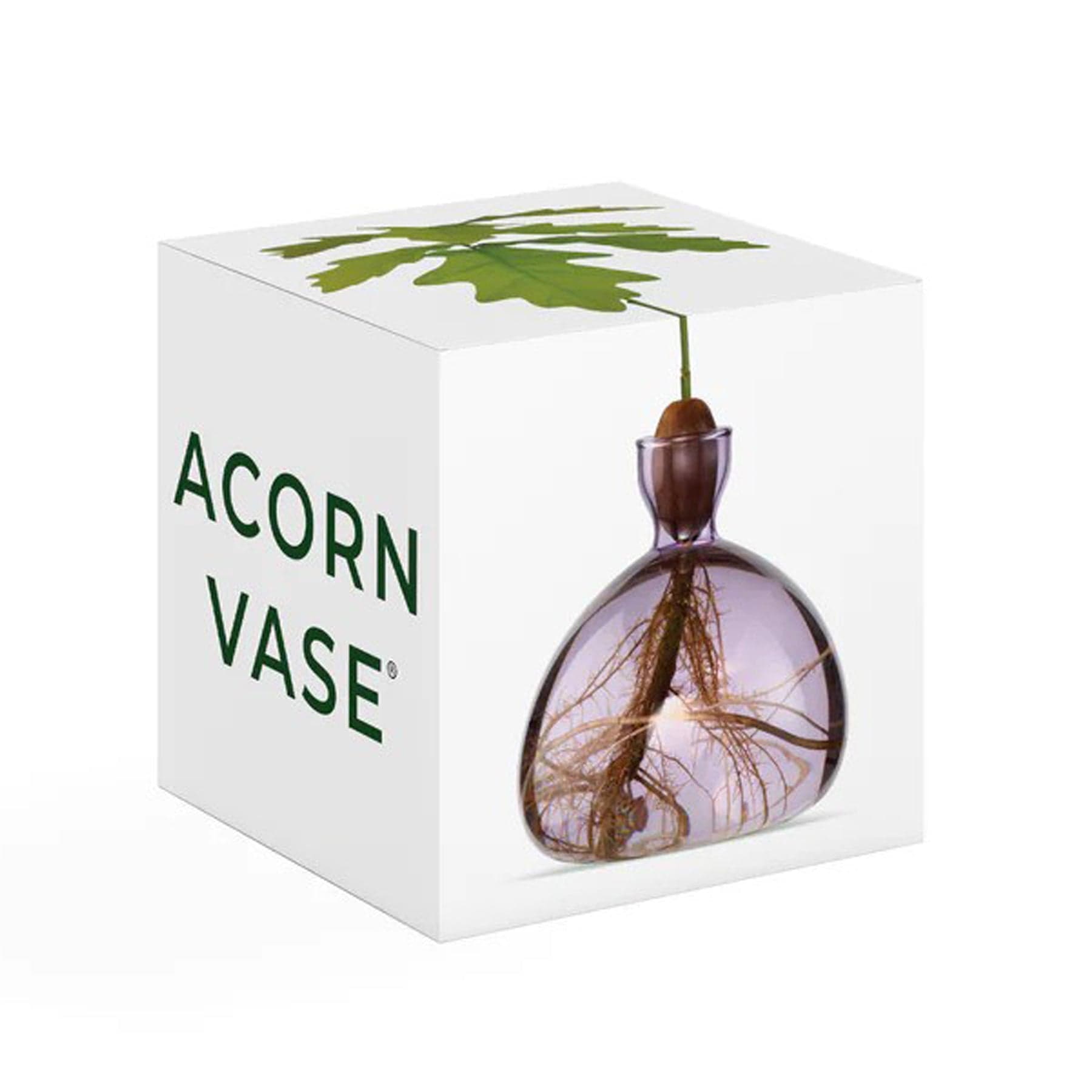 Acorn vase spring lilac