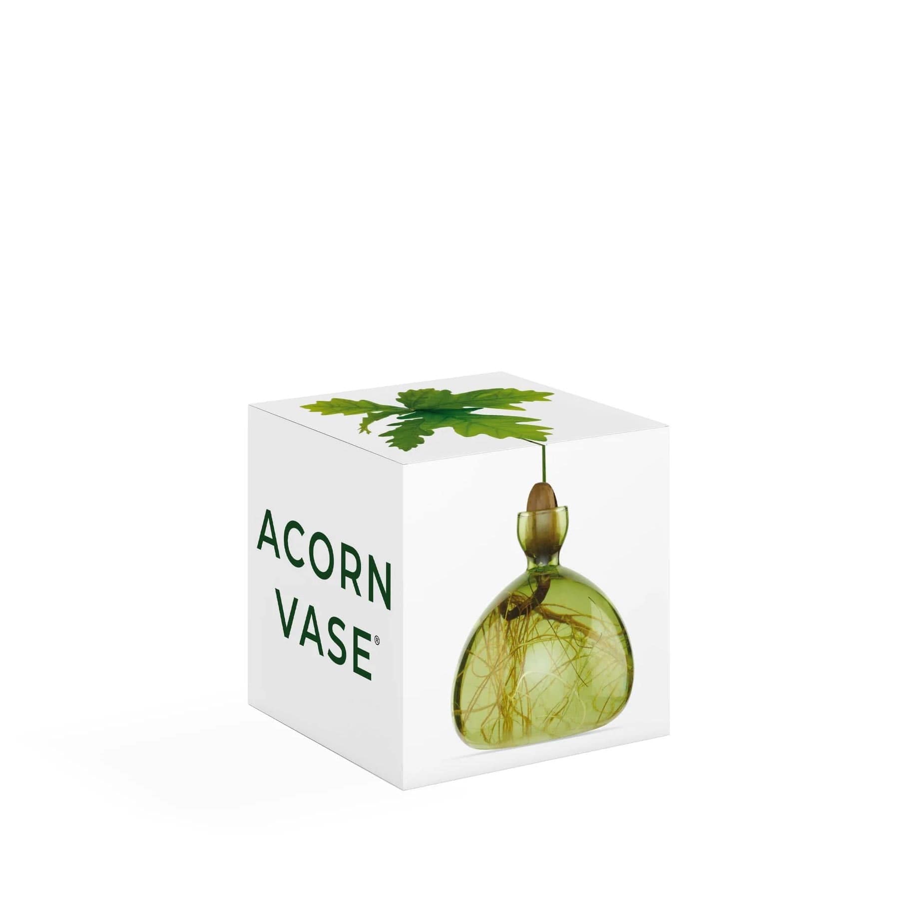 Acorn vase grass green