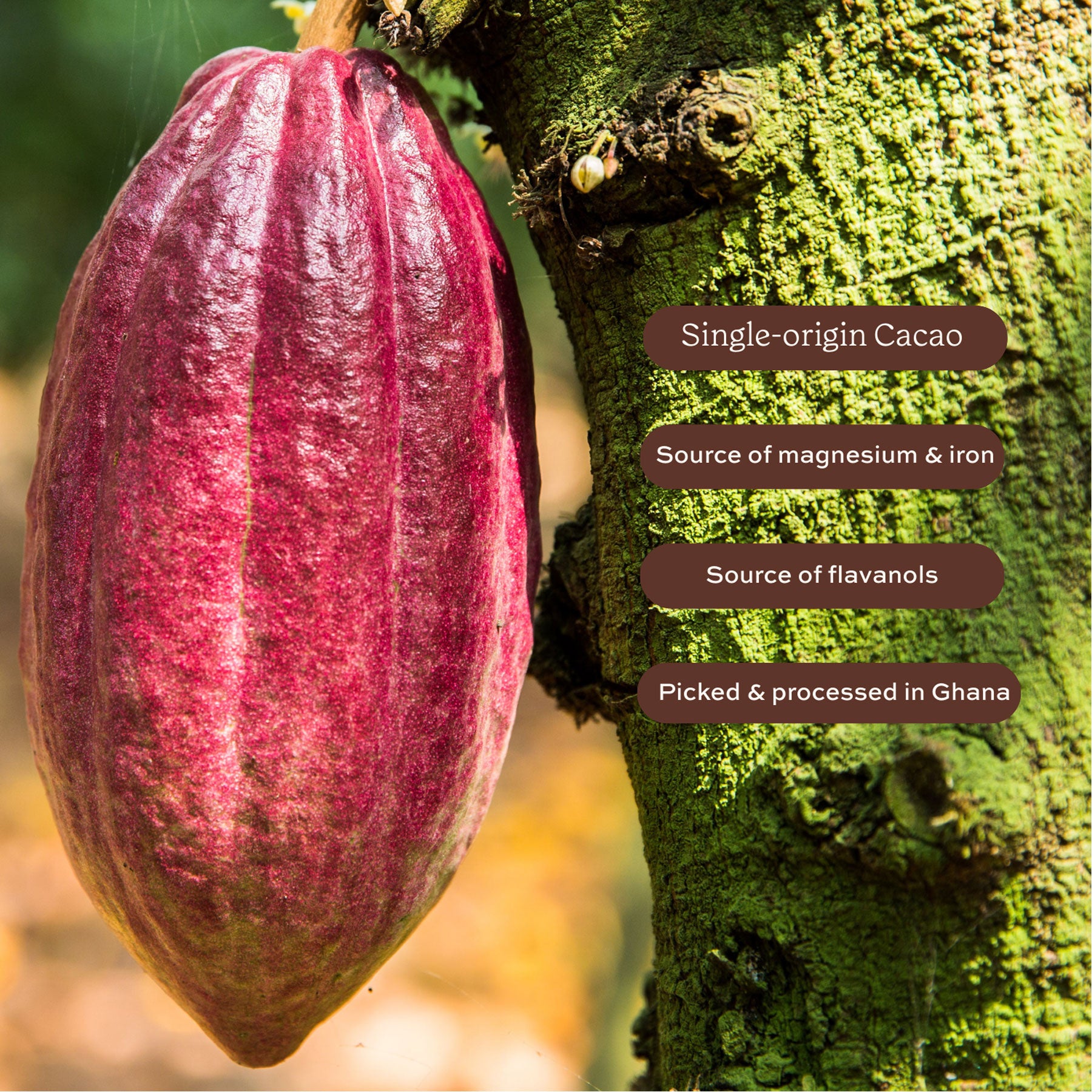 Super-cacao premium blend cacao powder 100g