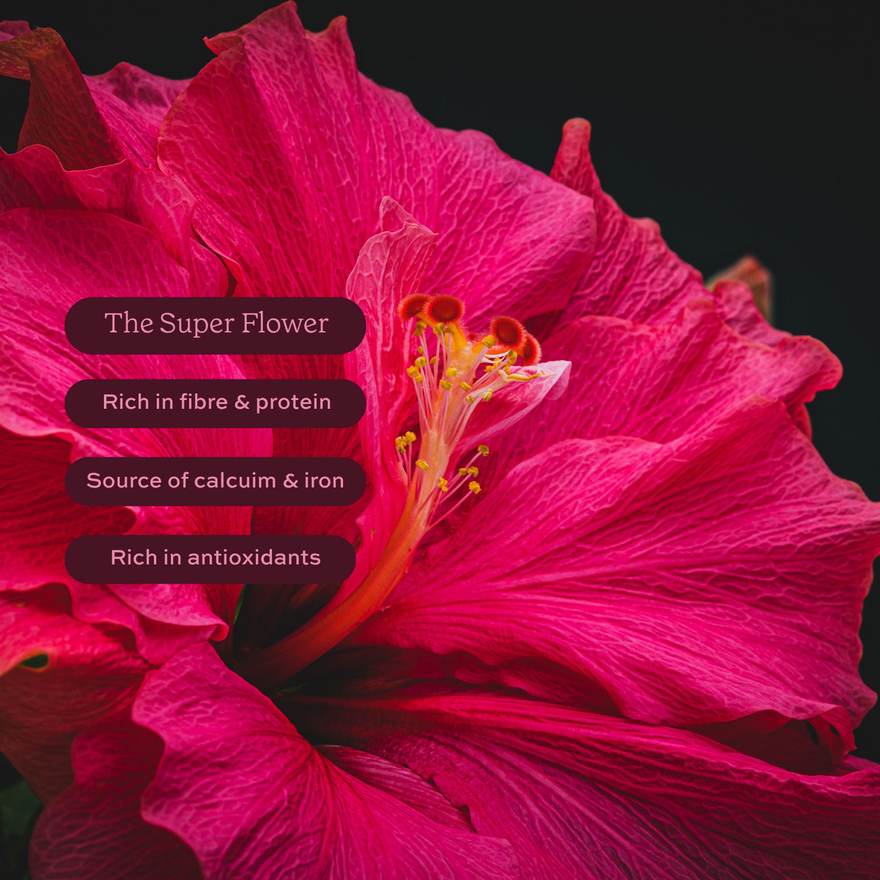 Hibiscus superfood powder 275g