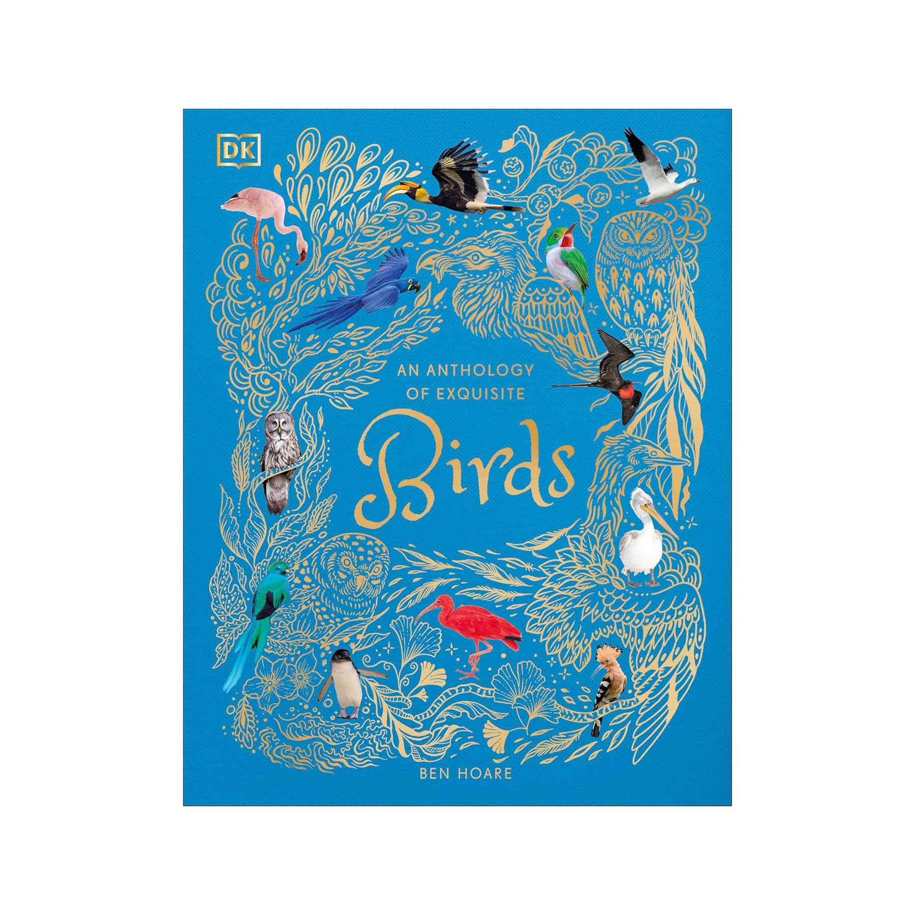 An anthology of exquisite birds
