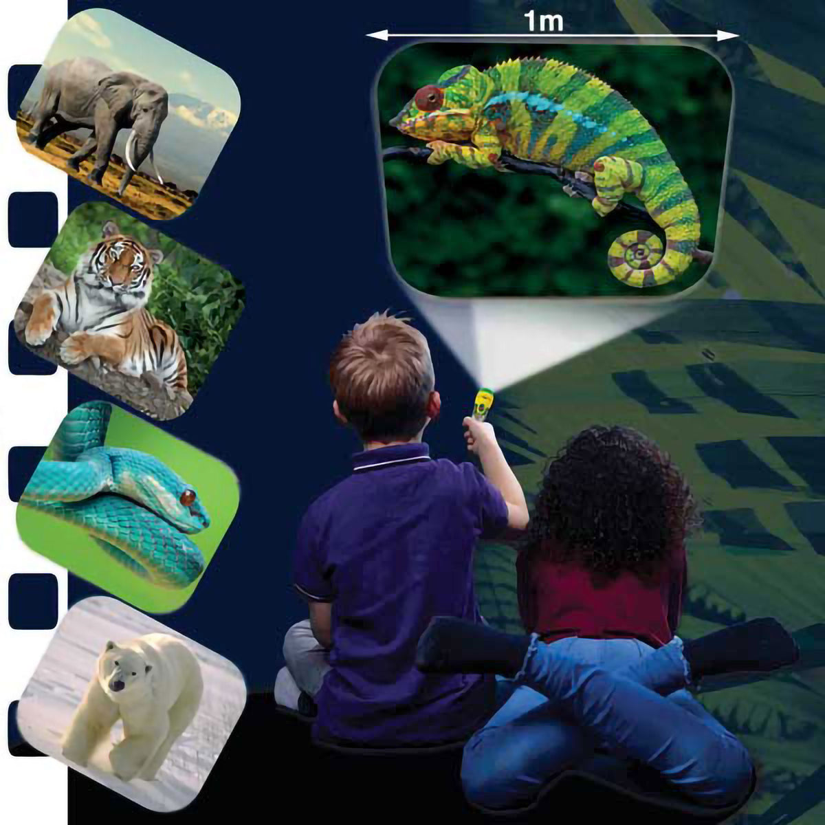 Animal torch and projector