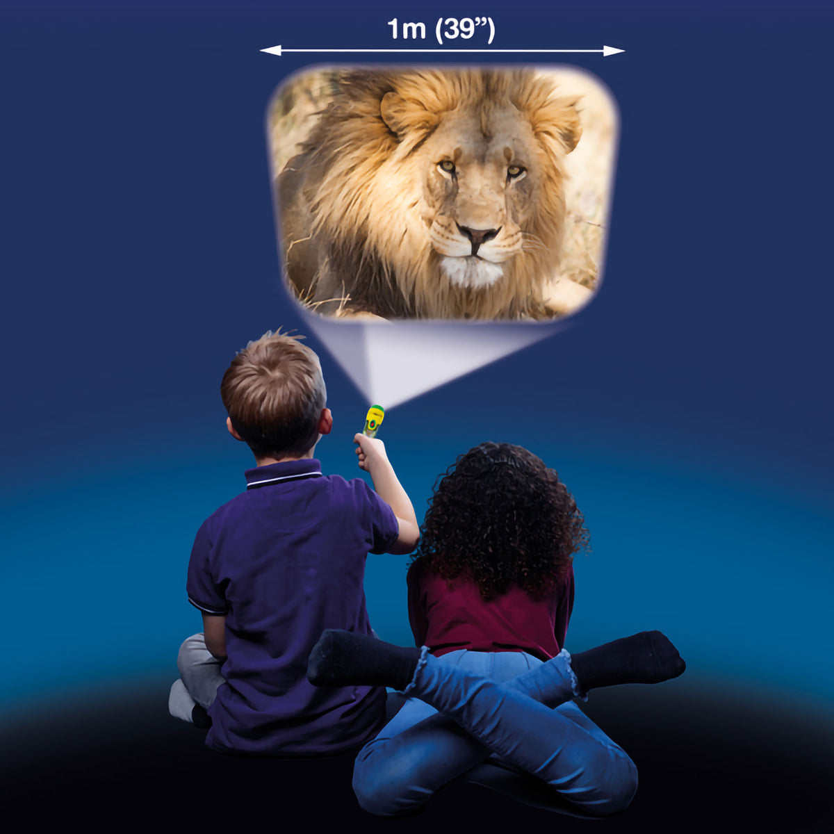 Animal torch and projector
