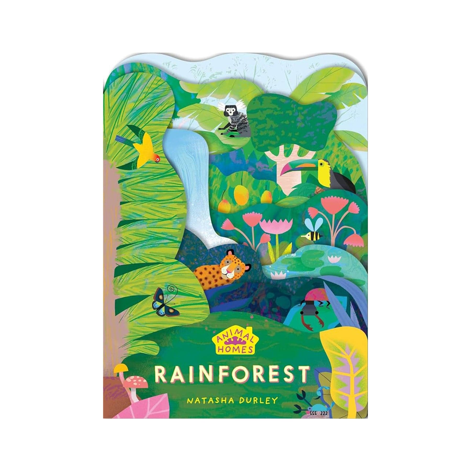 Animal homes: rainforest