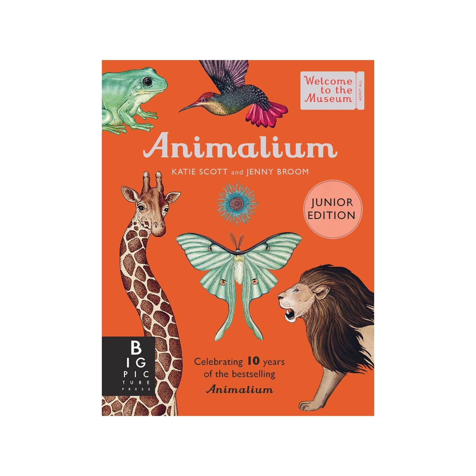 Animalium - welcome to the museum