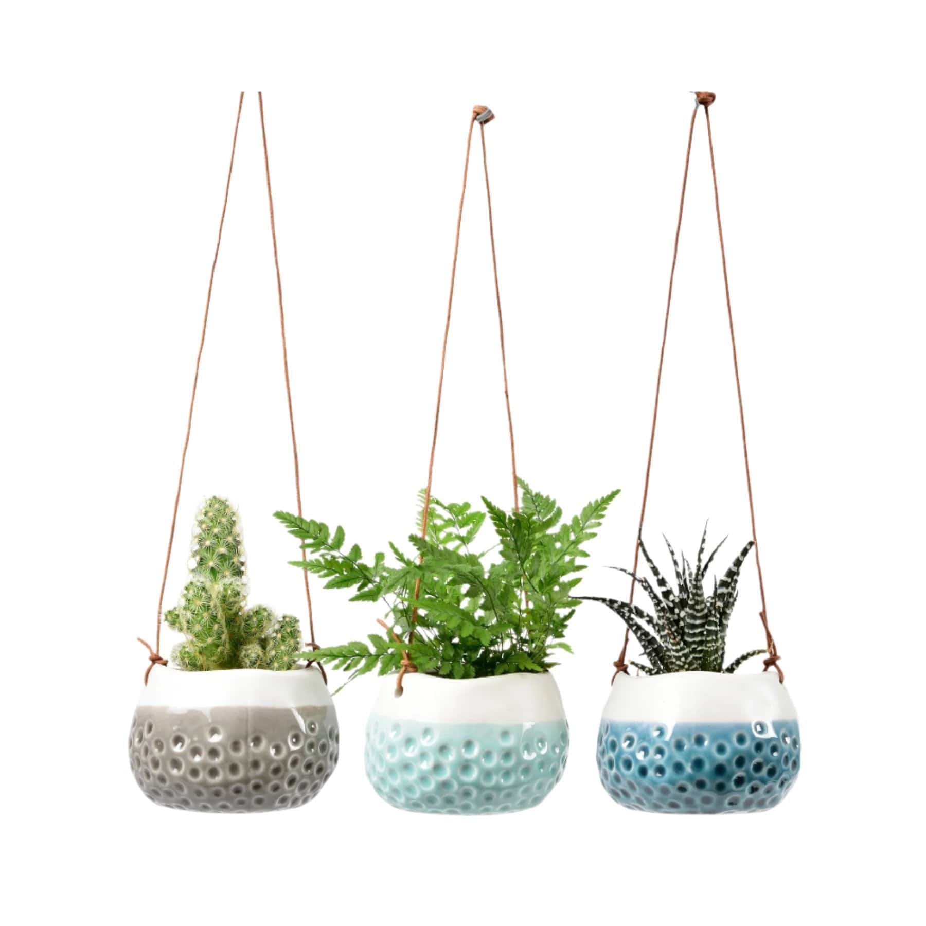 Baby dotty hanging pot trio