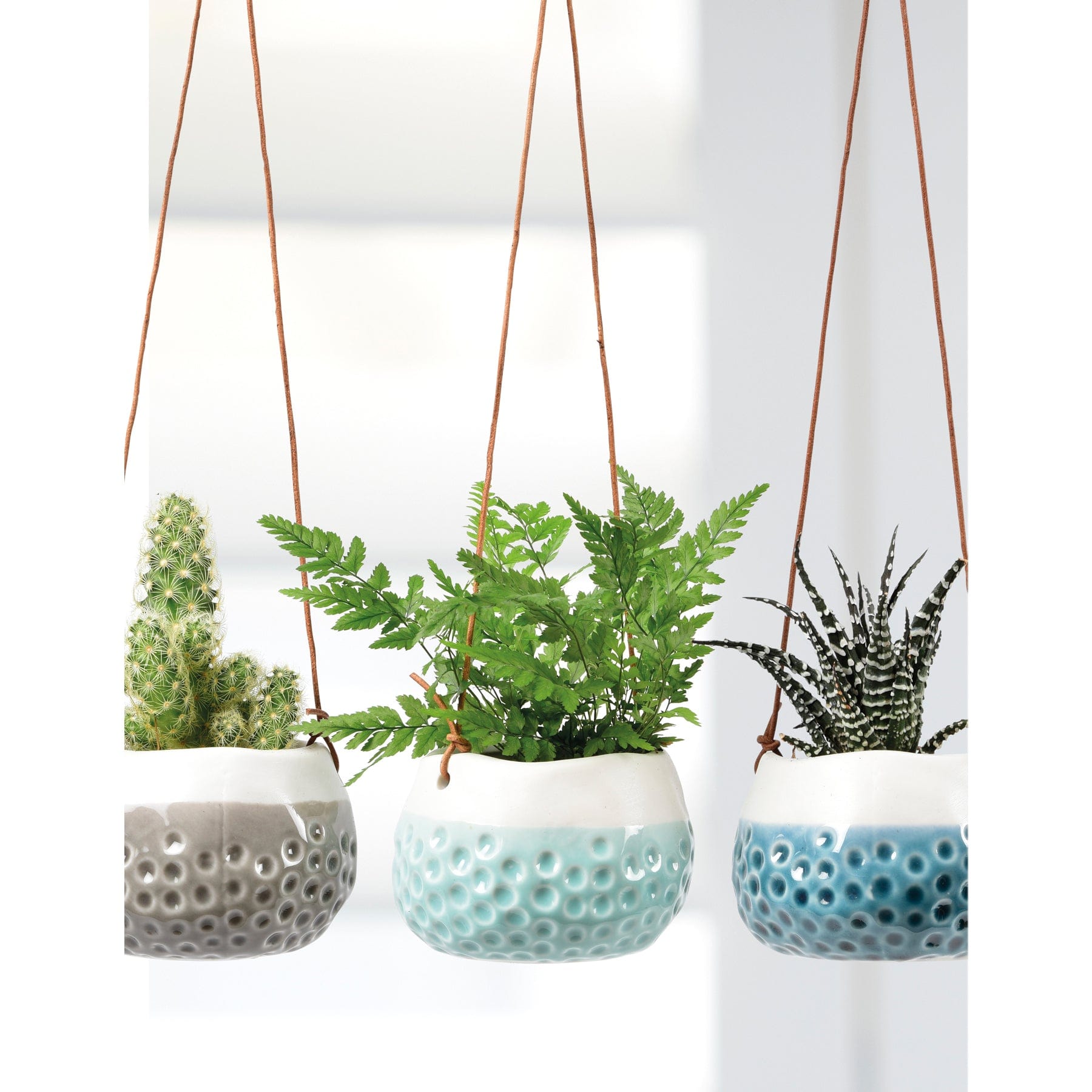 Baby dotty hanging pot trio