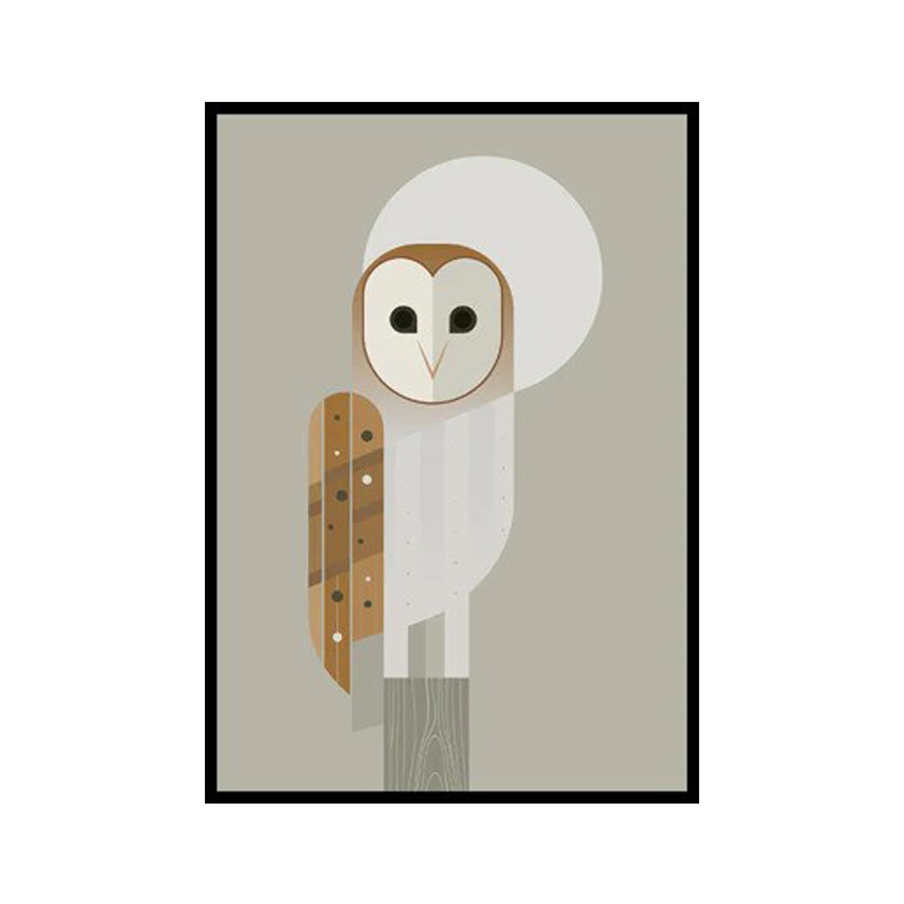 Barn owl greetings card