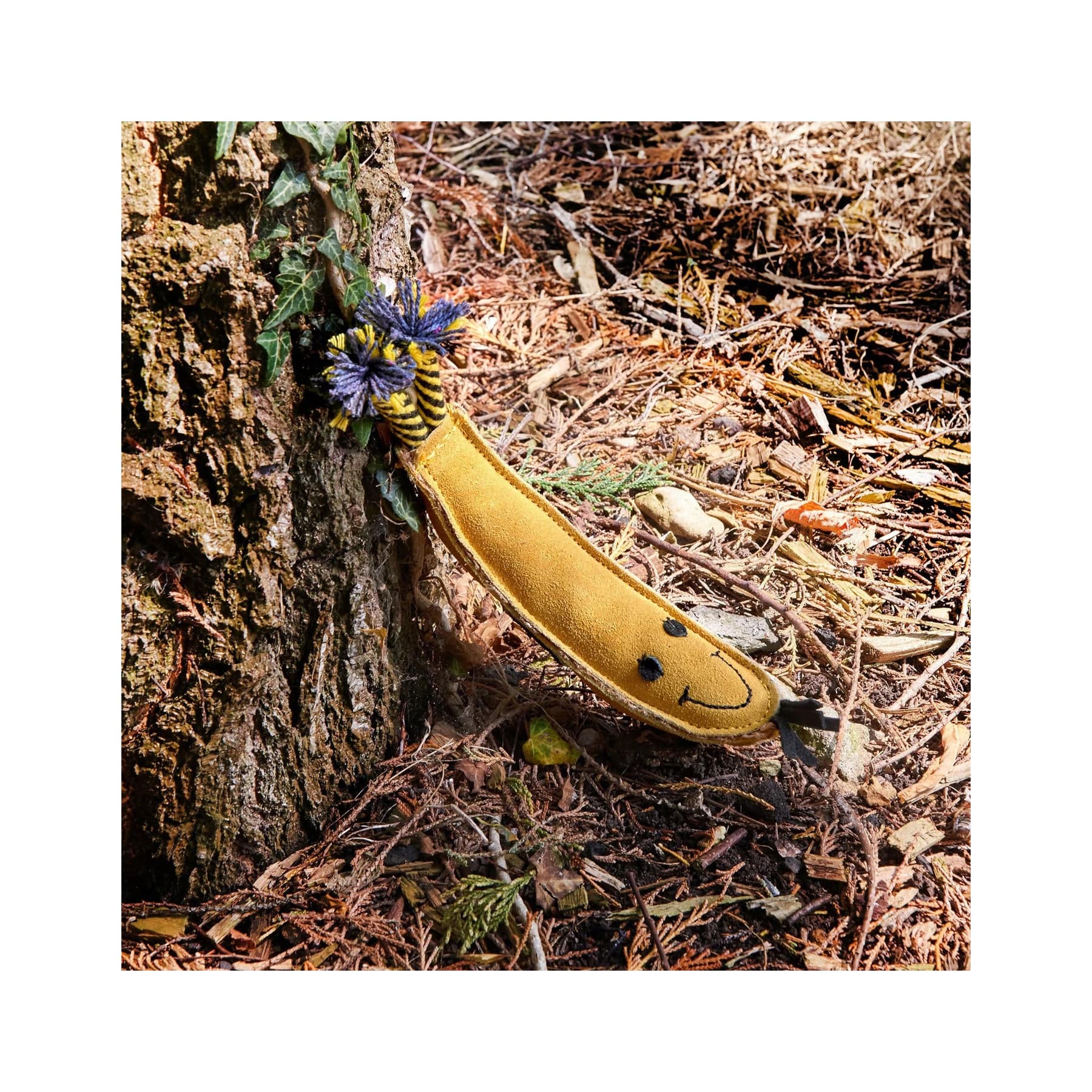 Barry the banana eco pet toy