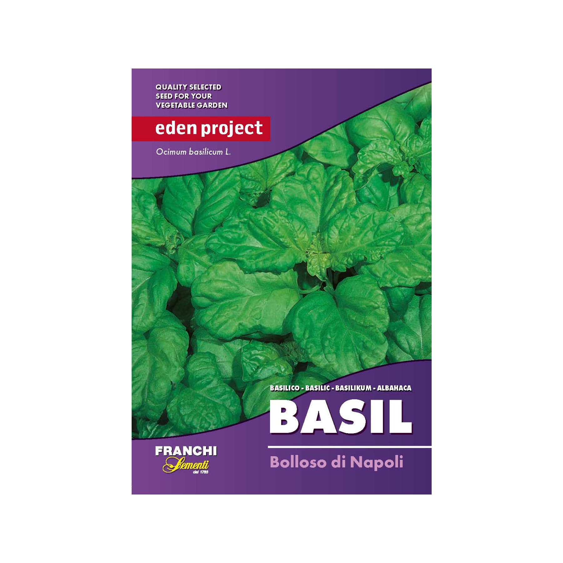 Basil bolloso seeds