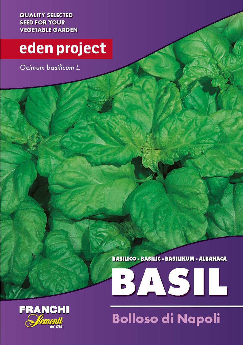 Eden basil bolloso seeds