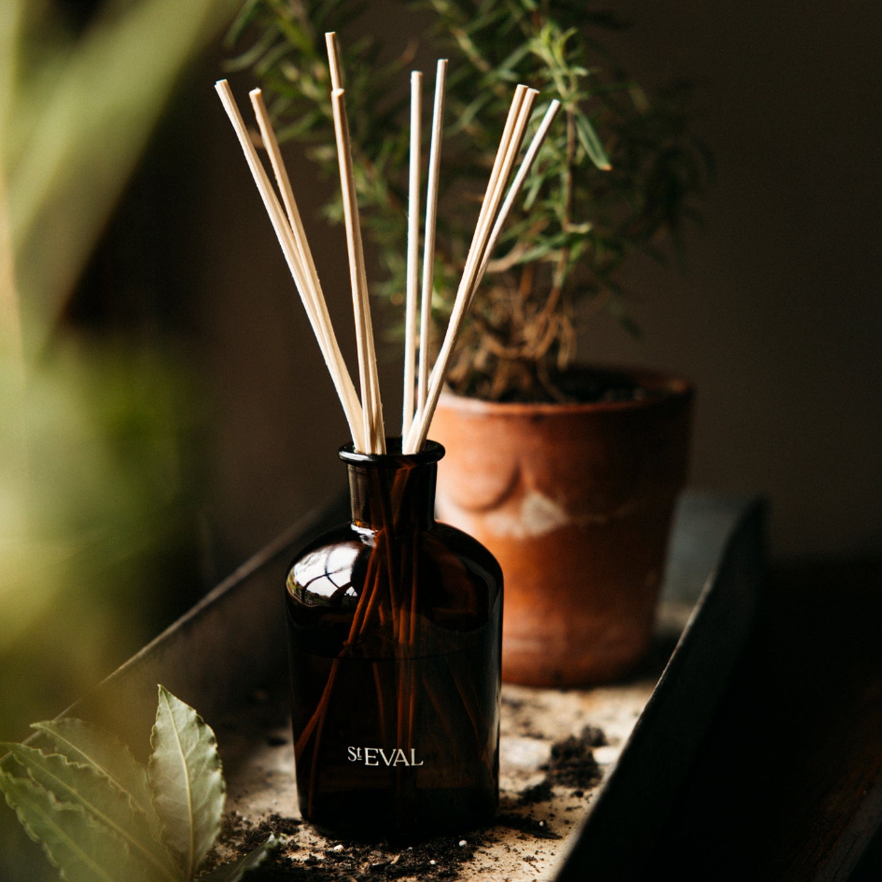 Bay & rosemary reed diffuser