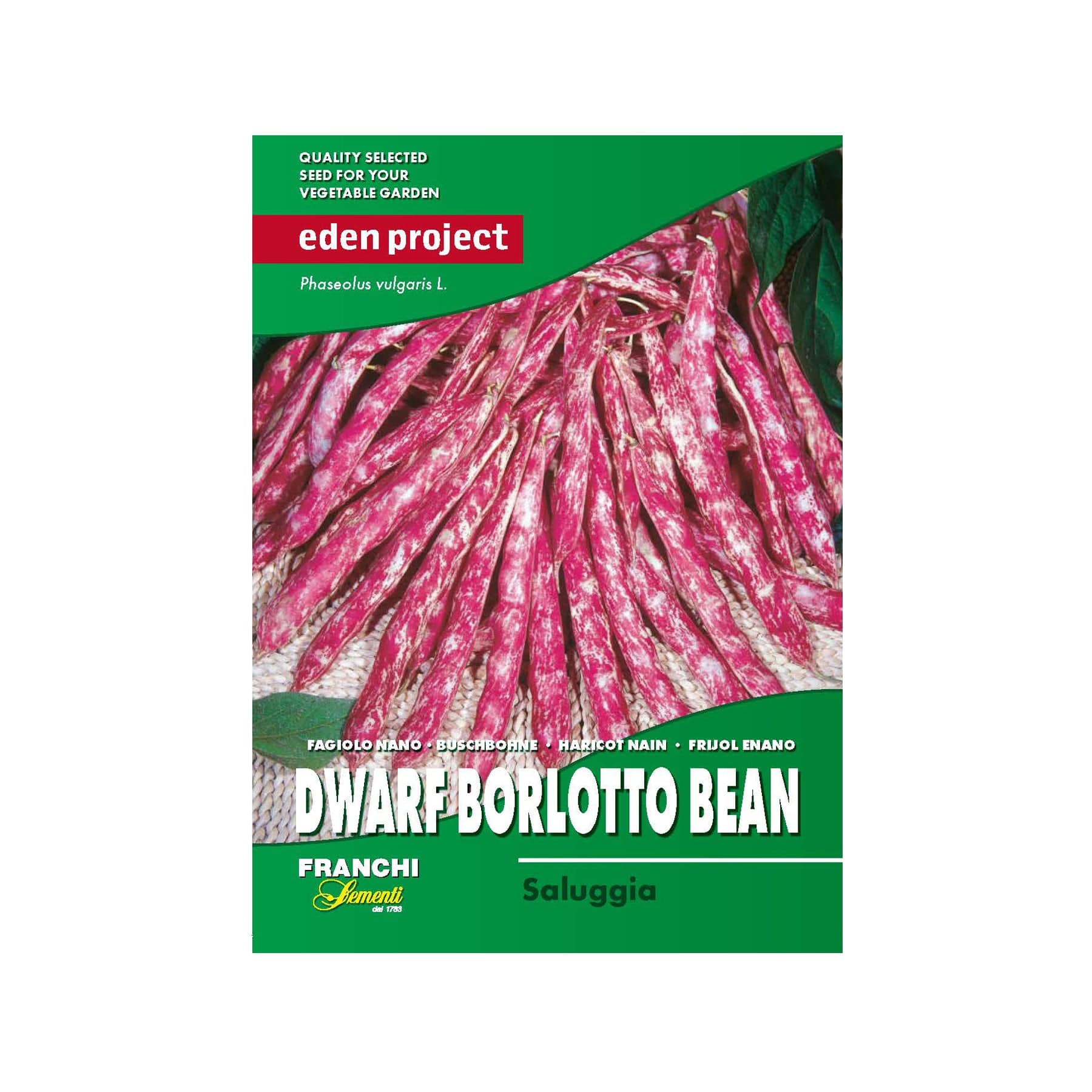 Bean saluggia seeds