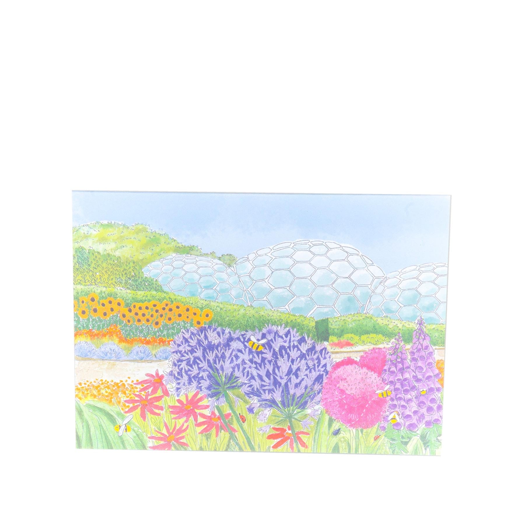 Eden Project biomes and bees card