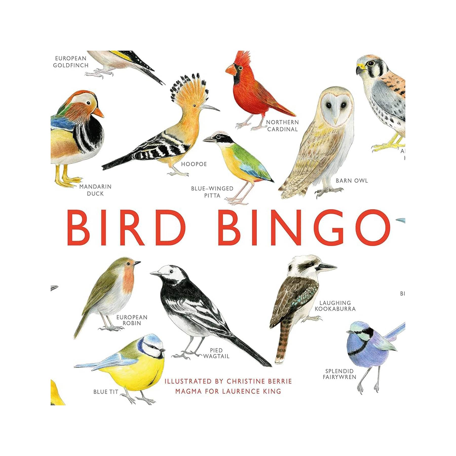 Bird bingo