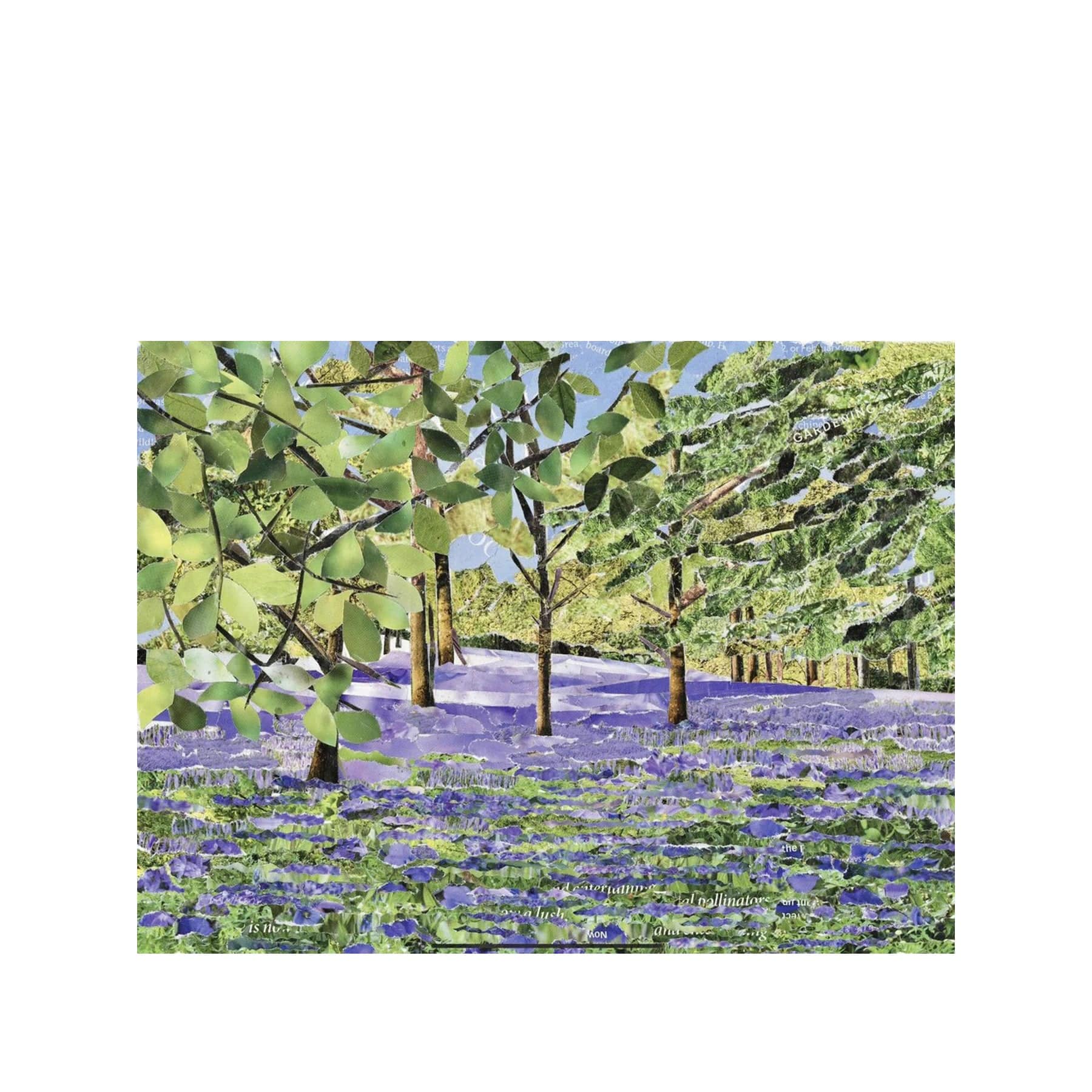 Bluebells at Enys gardens greetings card