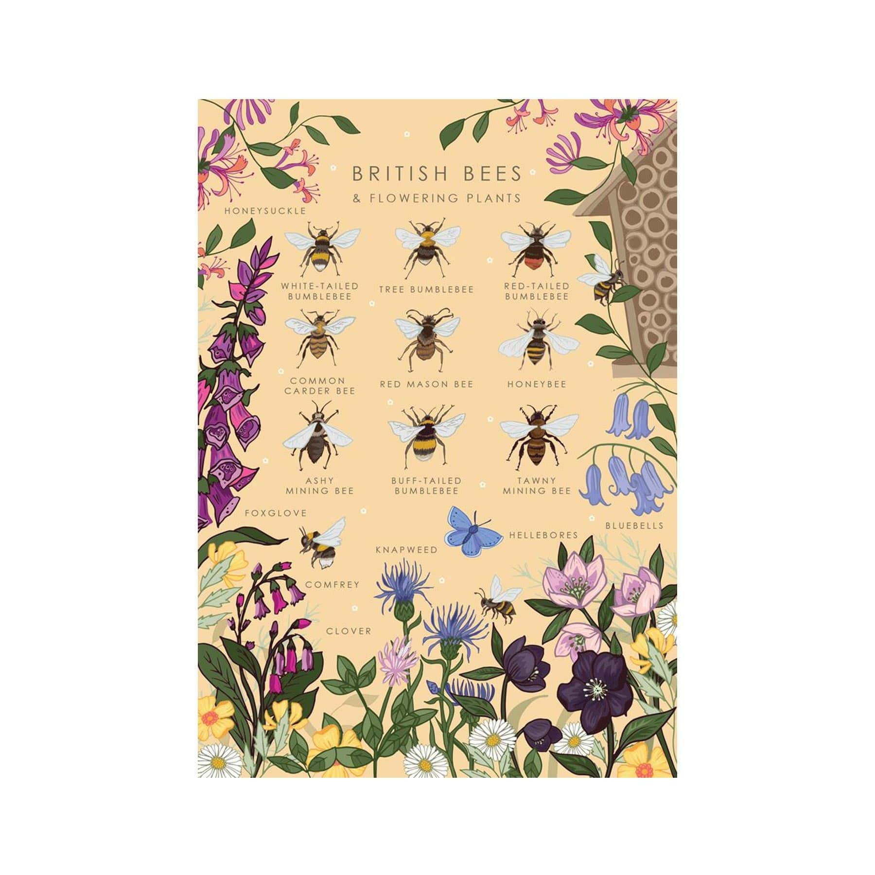 British bees nature guide greetings card