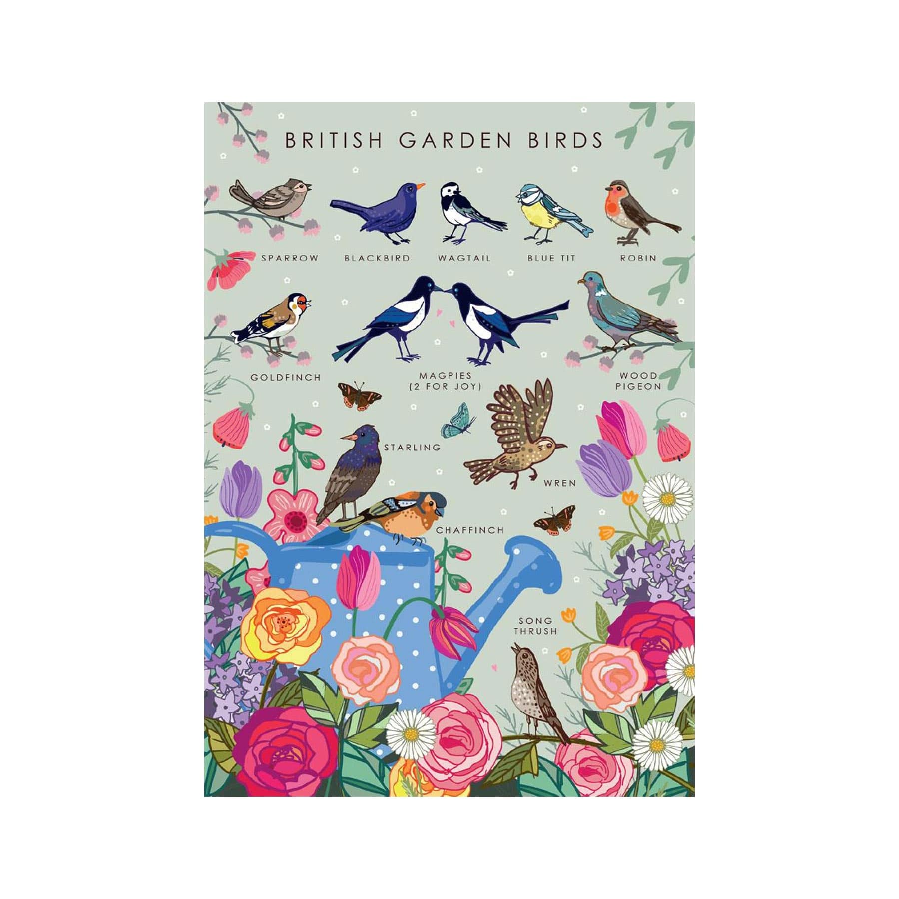 British garden birds nature guide greetings card