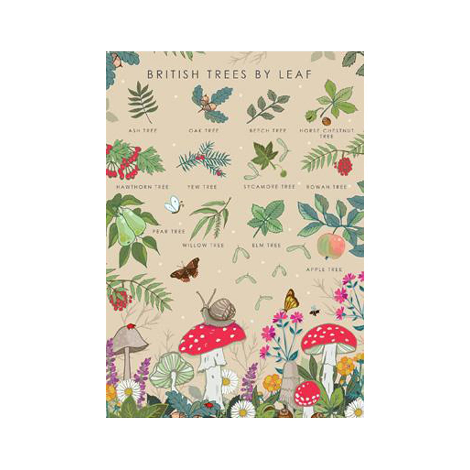 British trees by leaf nature guide greetings card