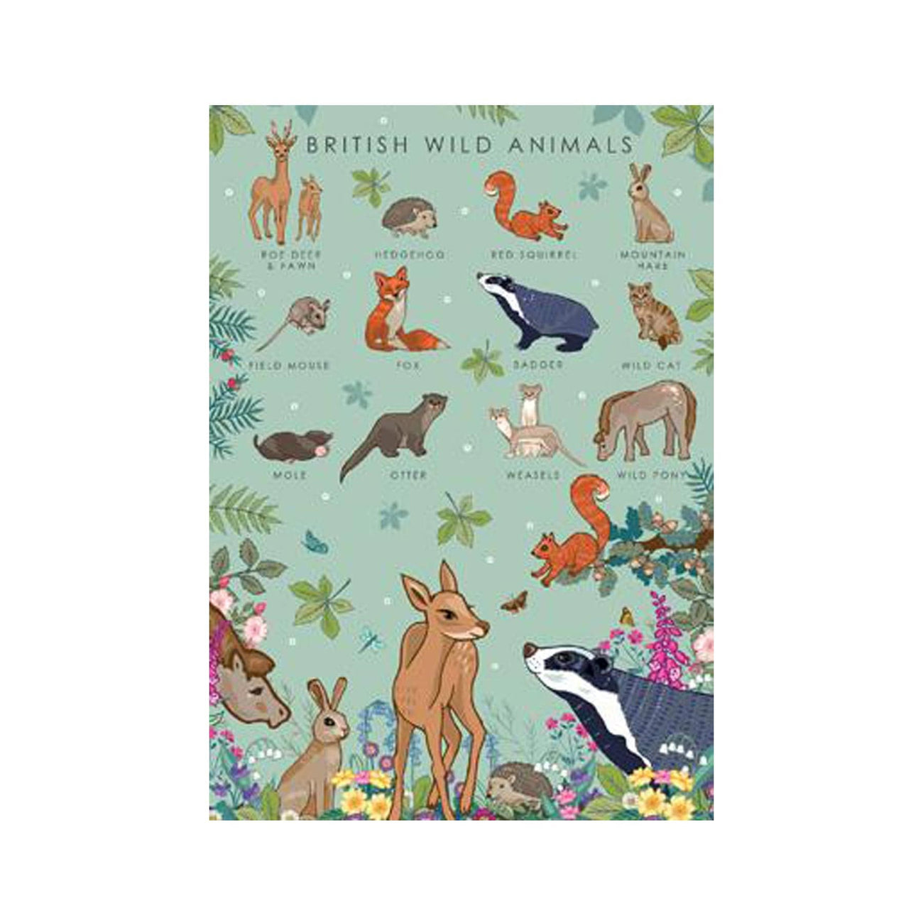 British Wild Animals Nature Guide Greetings Card