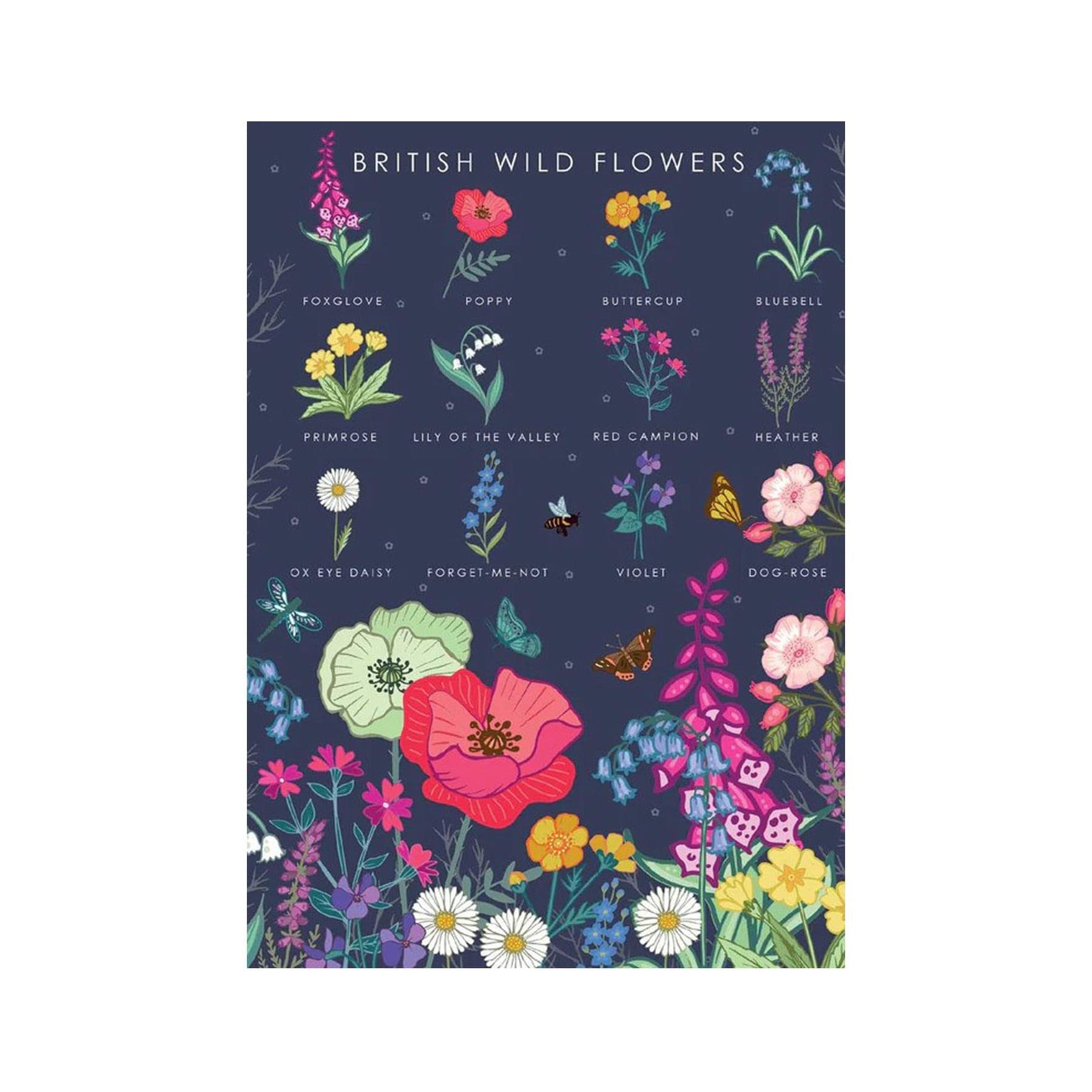 British wild flowers nature guide greetings card