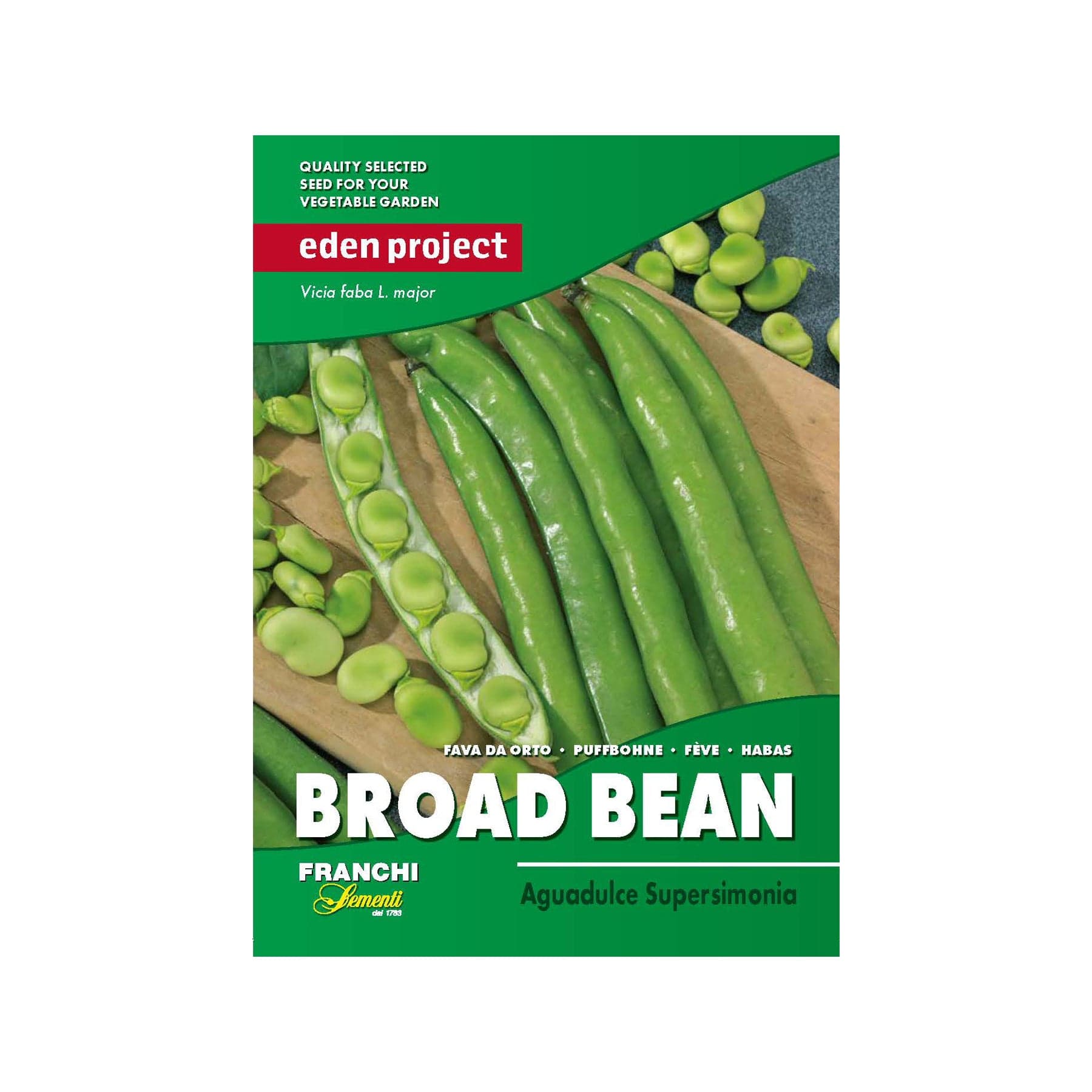 Broad bean seeds