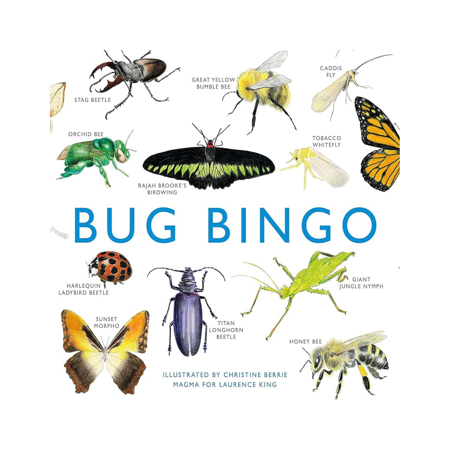 Bug bingo