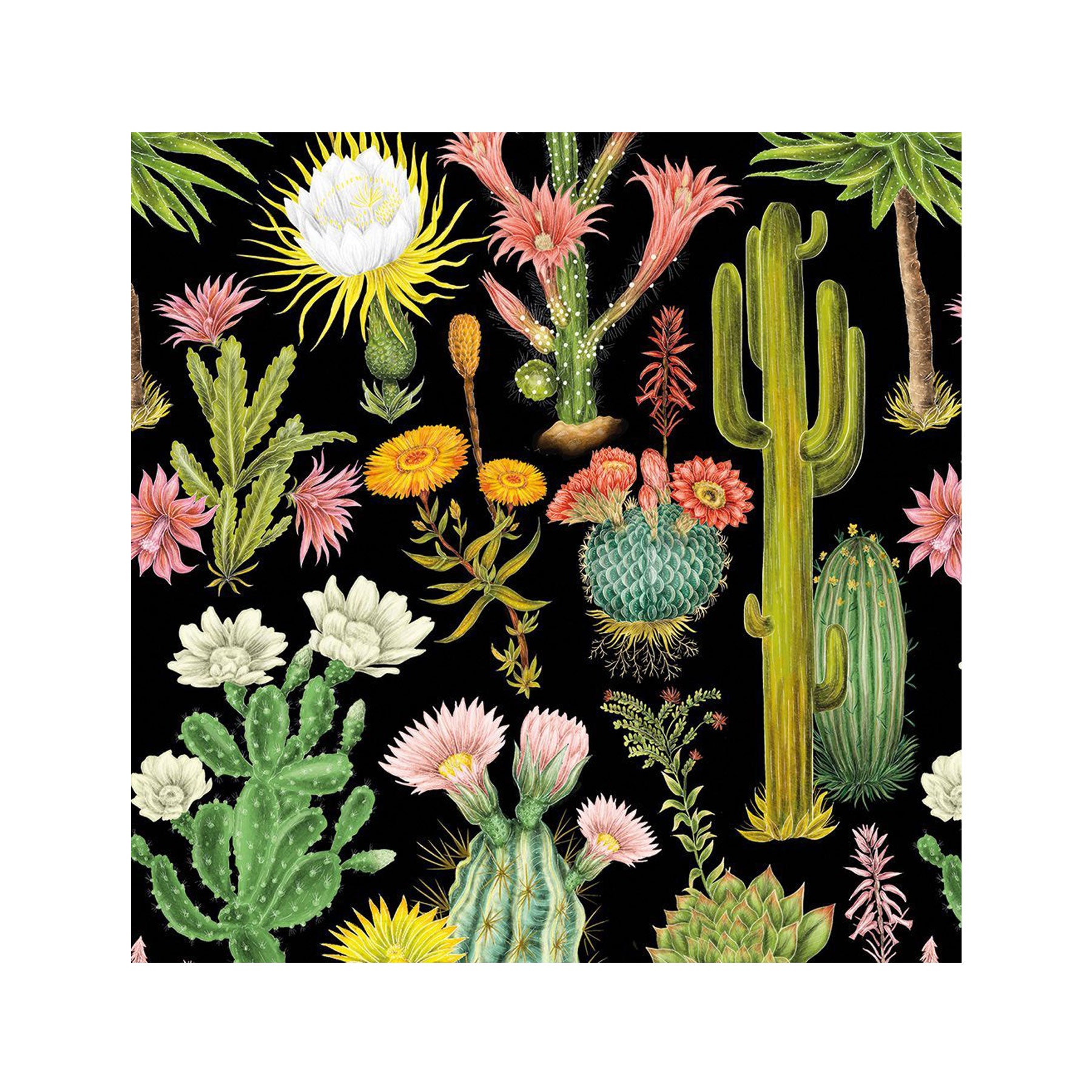 Cacti crush greetings card