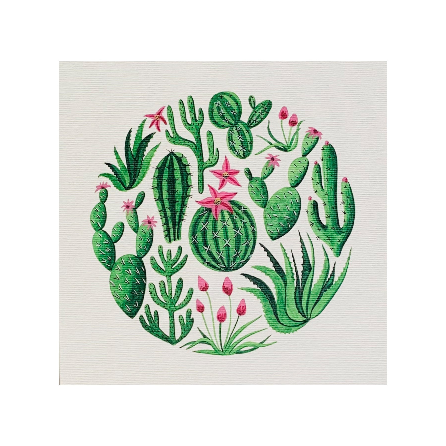 Cacti & succulents greetings card