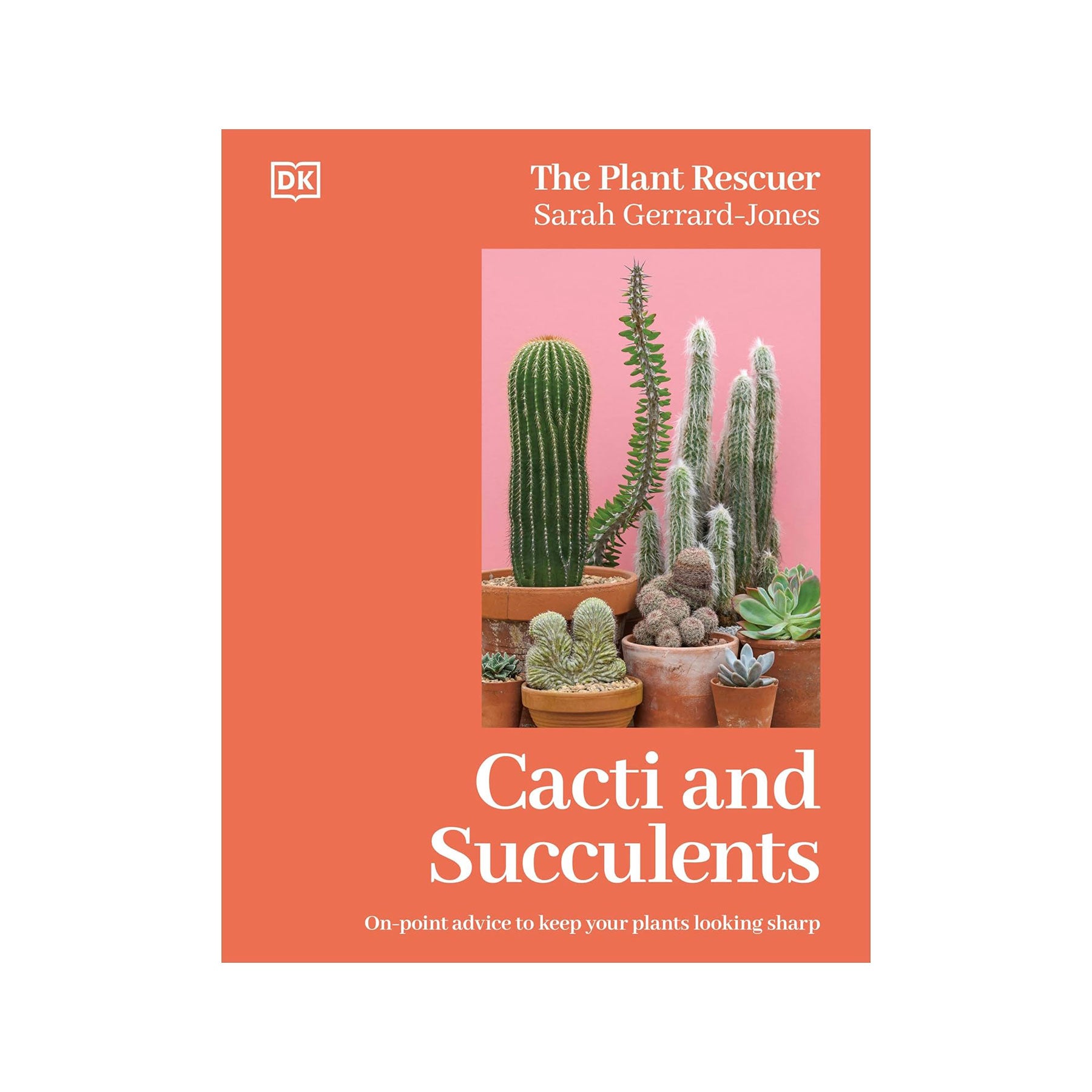 Cacti and succulents: how to handle prickly plants with care