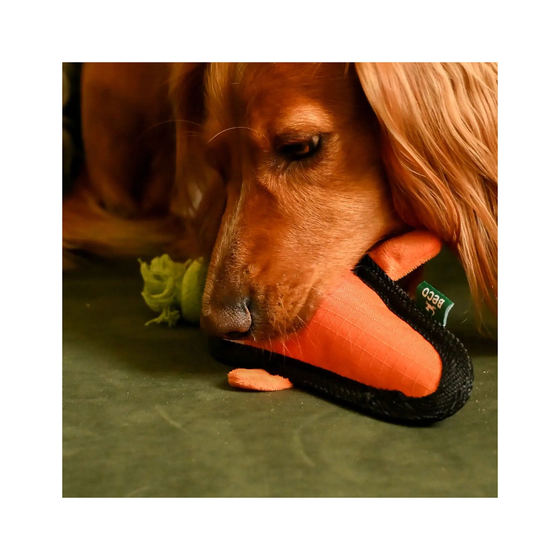 Beco recycled rough and tough carrot medium